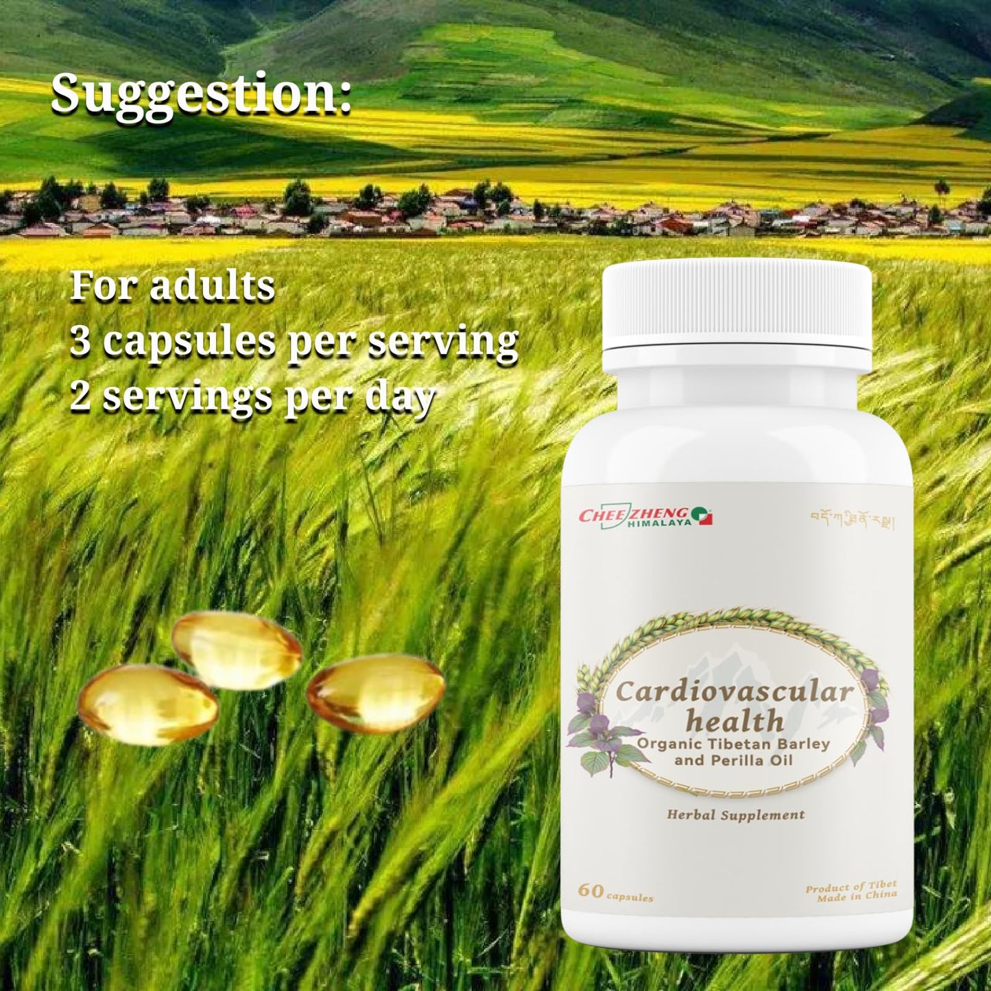QIZHENG HIMALAYA Heart & Circulation Support Herbal Supplement Capsule, 60 Count
