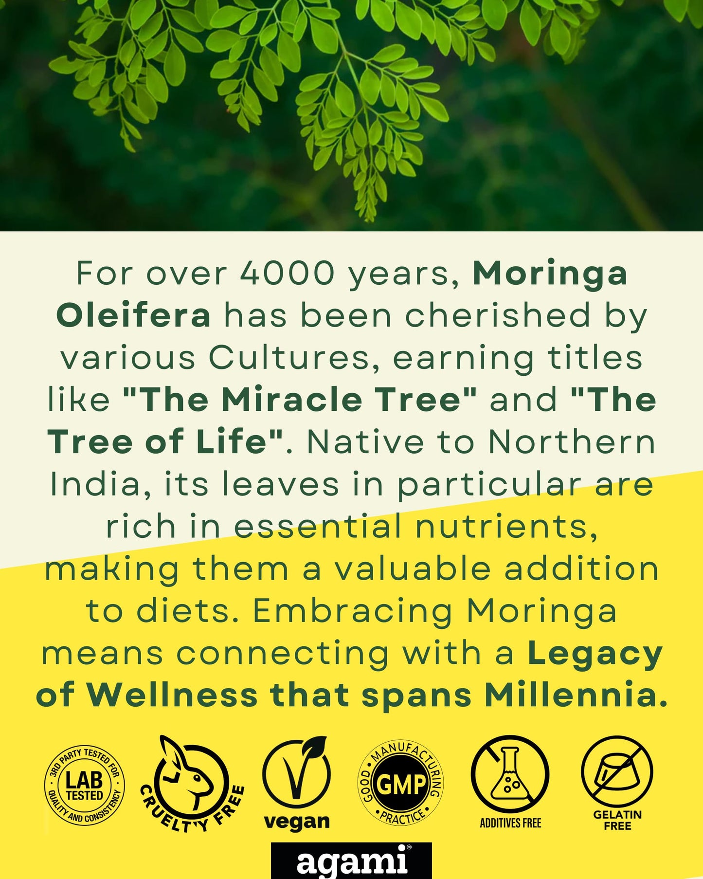 Agami Moringa Capsules, 400mg 20:1 Extract, 120 Capsules