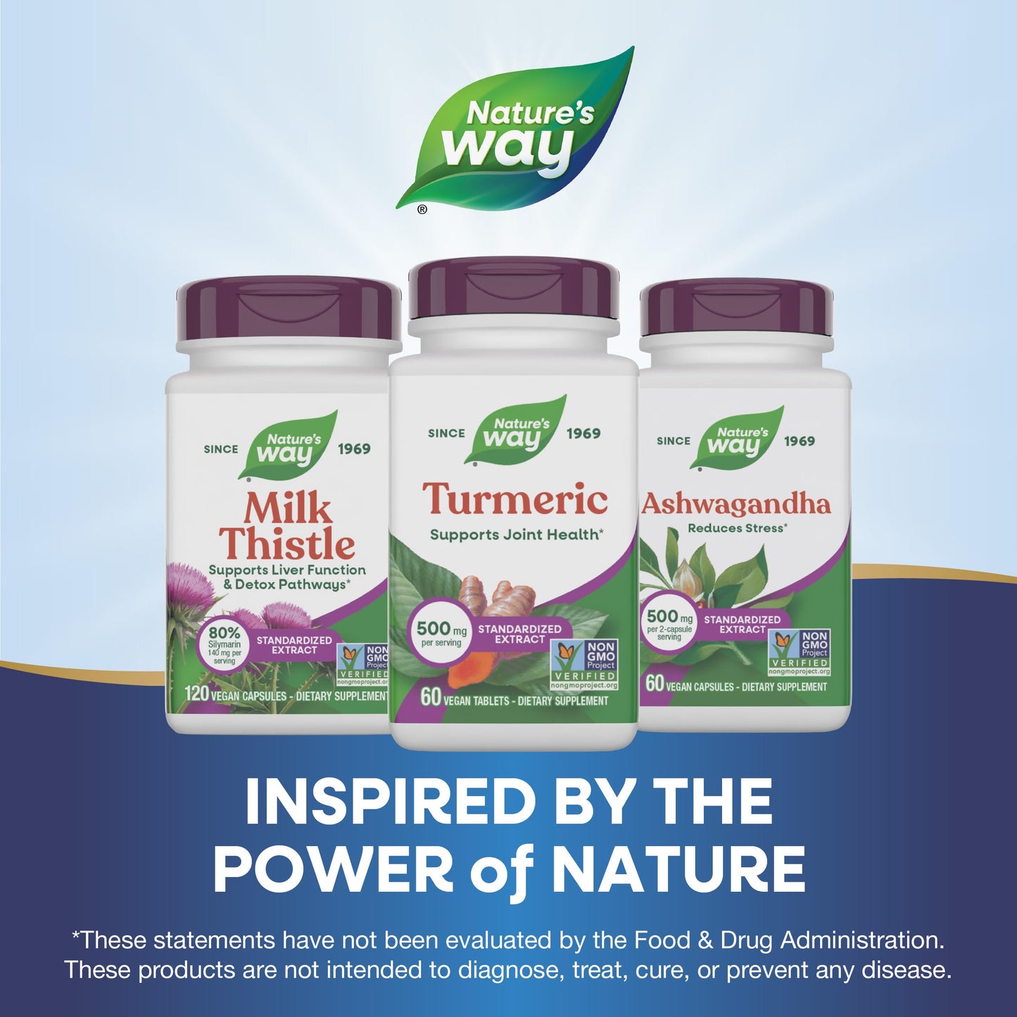 Nature's Way Turmeric Premium Extract Tablets, 60 Tablets