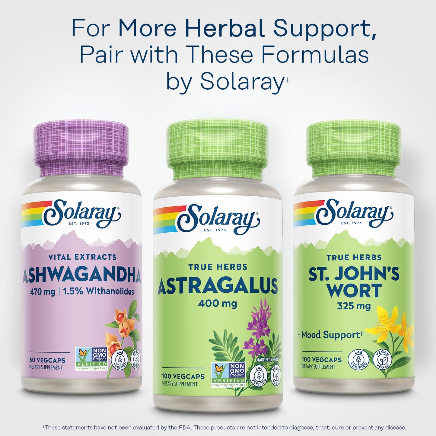 SOLARAY Astragalus Root 400mg – Traditional Herbal Support Capsule, 100 Count