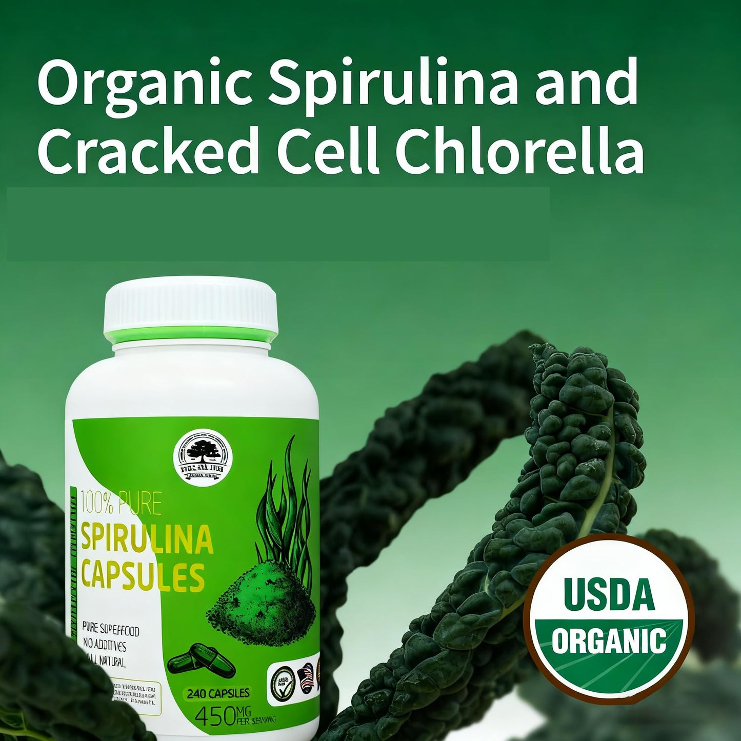DABC OAK LAND Spirulina Capsules 480 Capsules