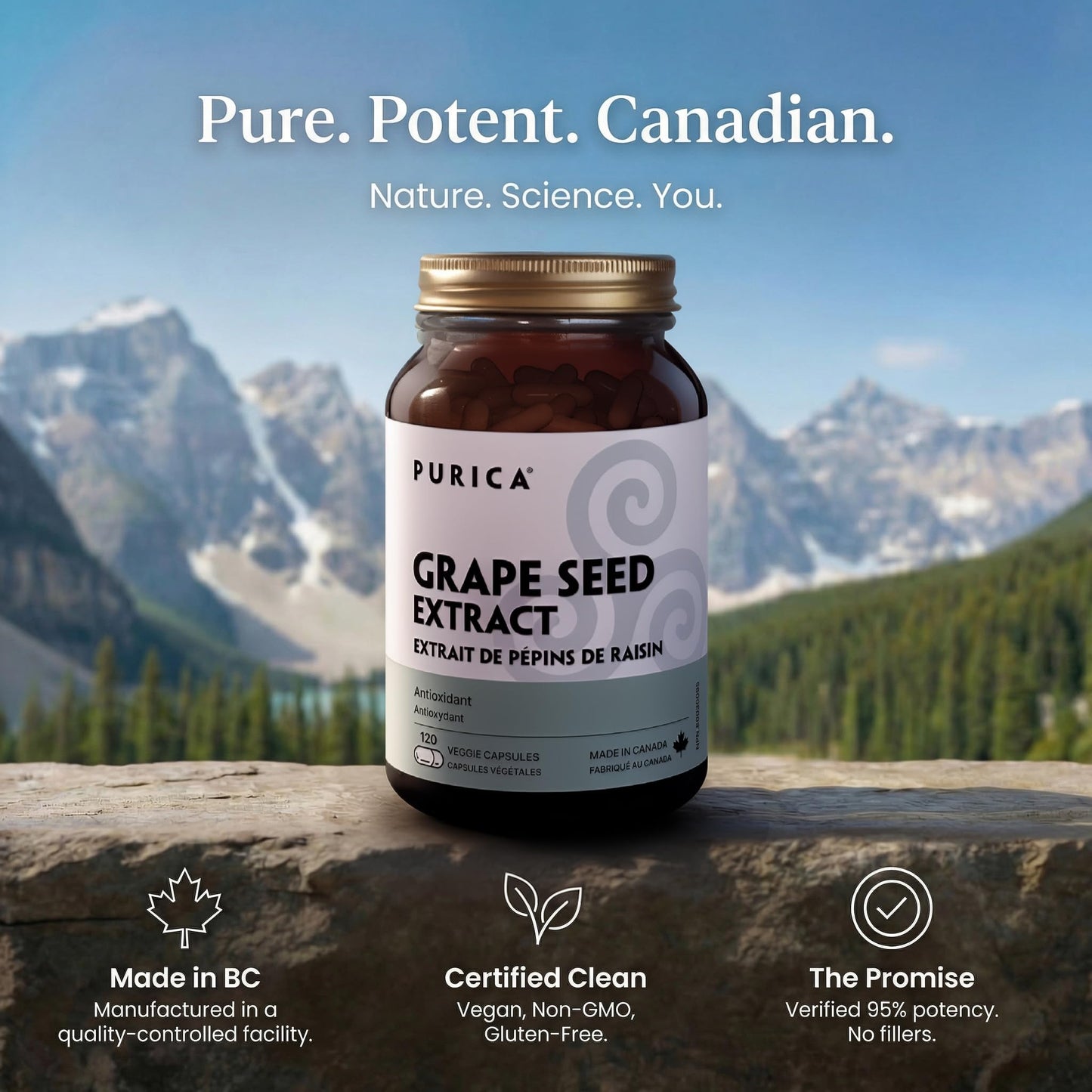 PURICA Grape Seed Extract Capsule 1 Count