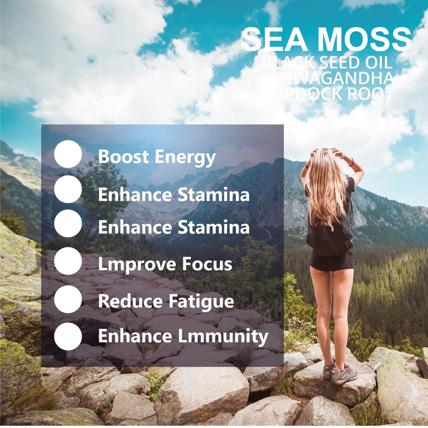 Meidlfesun Organic Sea Moss Capsules with Black Seed Oil & Ashwagandha, 60 Capsules