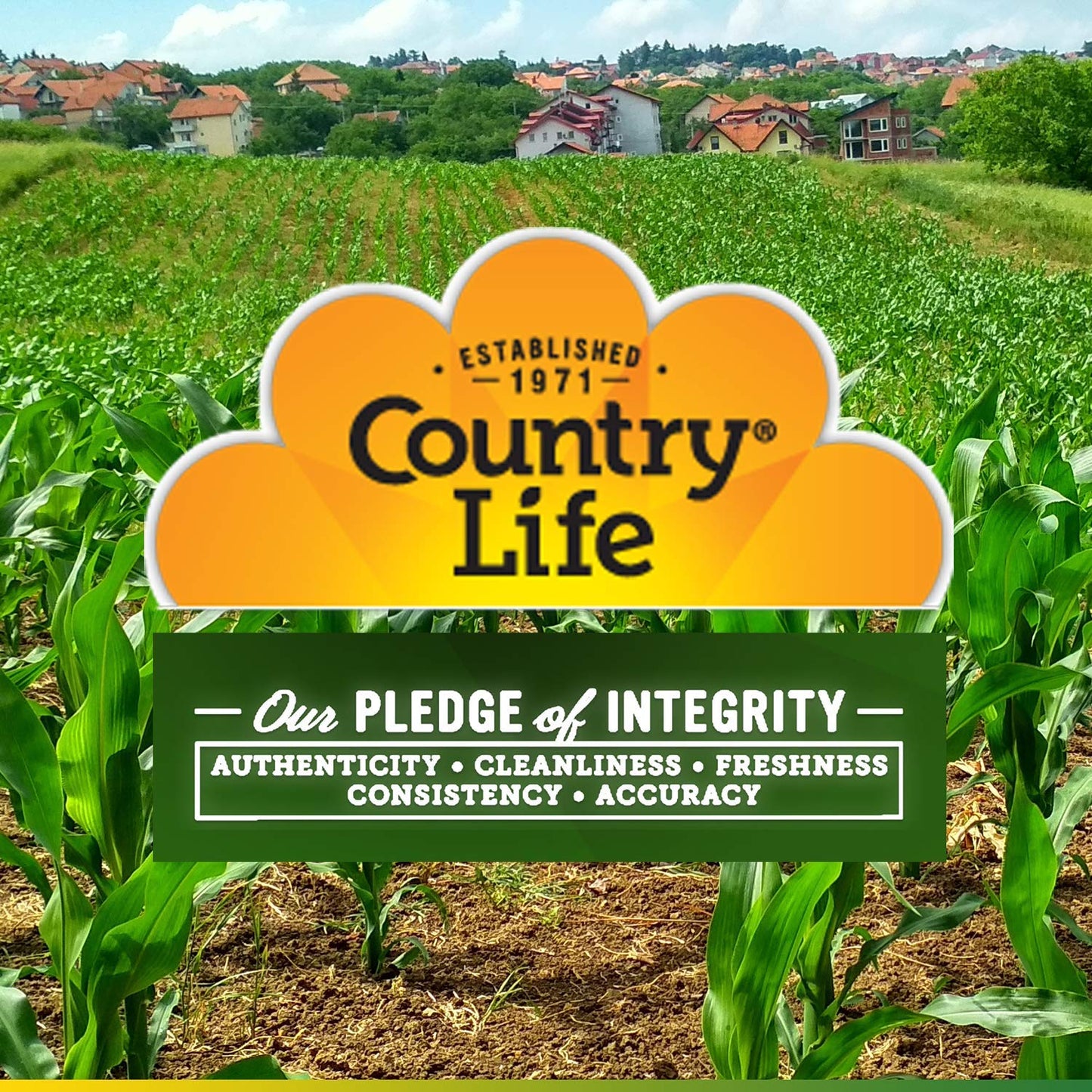 Country Life Calcium Citrate with Vitamin D, 120 Tablets