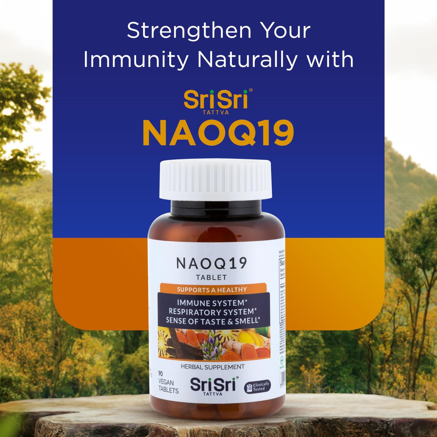 Sri Sri Products SRI SRI TATTVA NAOQ19 Immunity Support Ayurvedic Herbal Supplement with Ashwagandha, Turmeric, Tulsi, Licorice & Andrographis 19 Herbal Adaptogens for Immune, Respiratory & Stress Support 90 Capsules