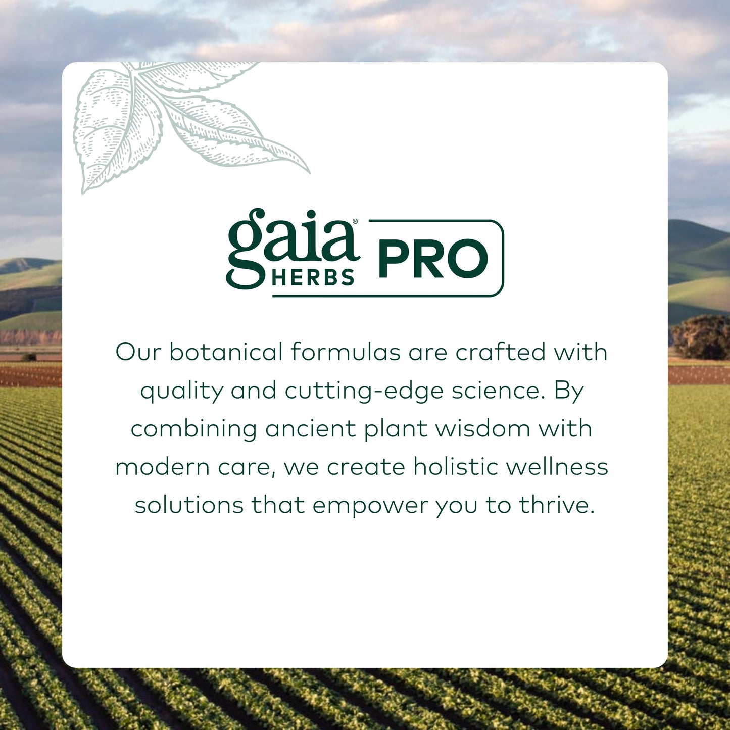 Gaia Herbs PRO Fermented Beet & Maca Capsule, 60 Count