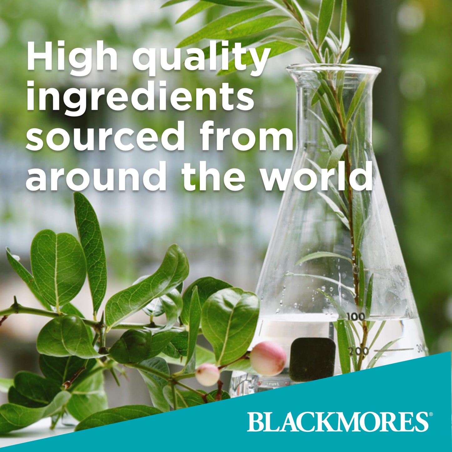 Blackmores Bio Zinc 84 Tablets