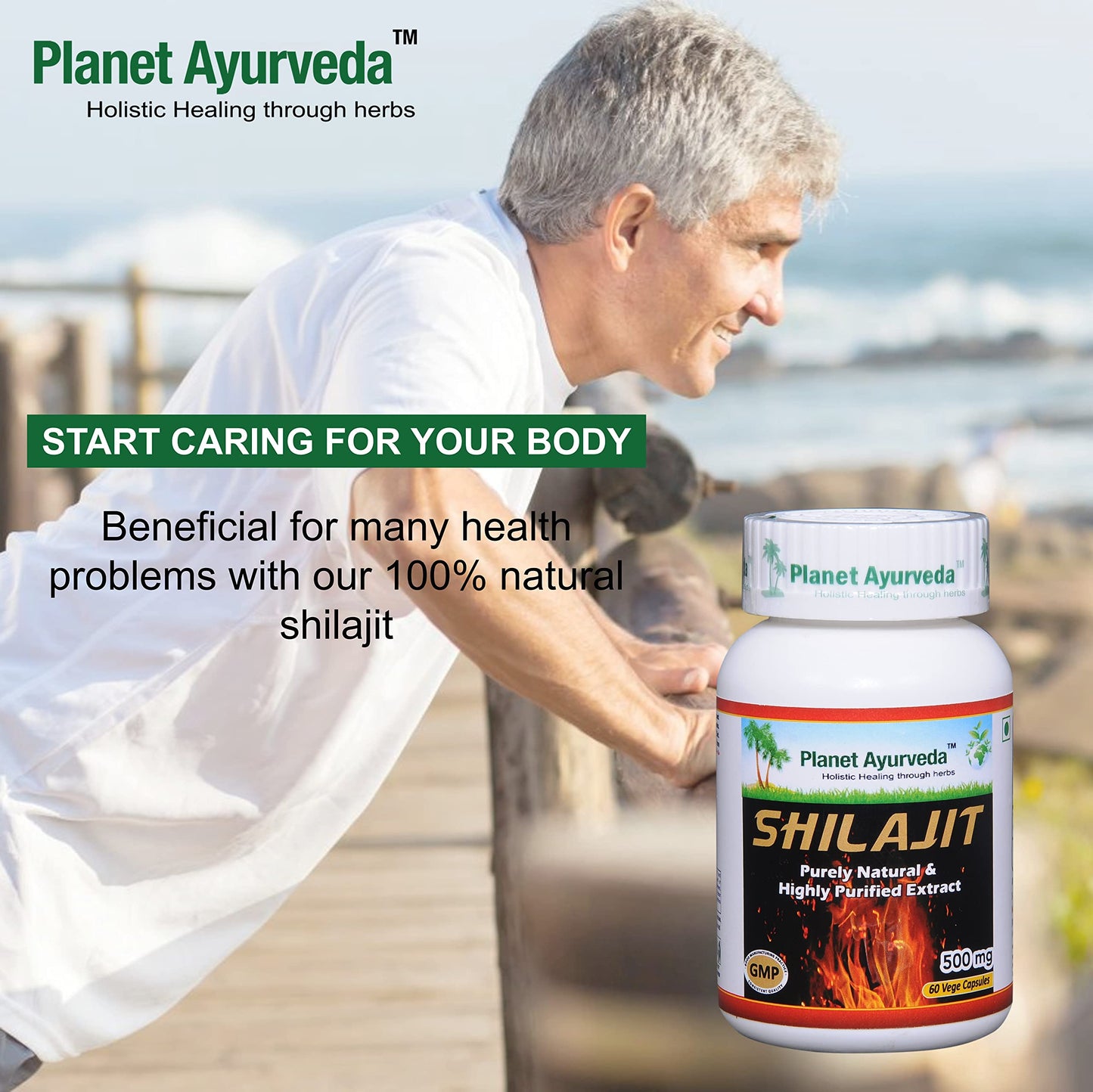 Planet Ayurveda Shilajit Capsules 120 Count