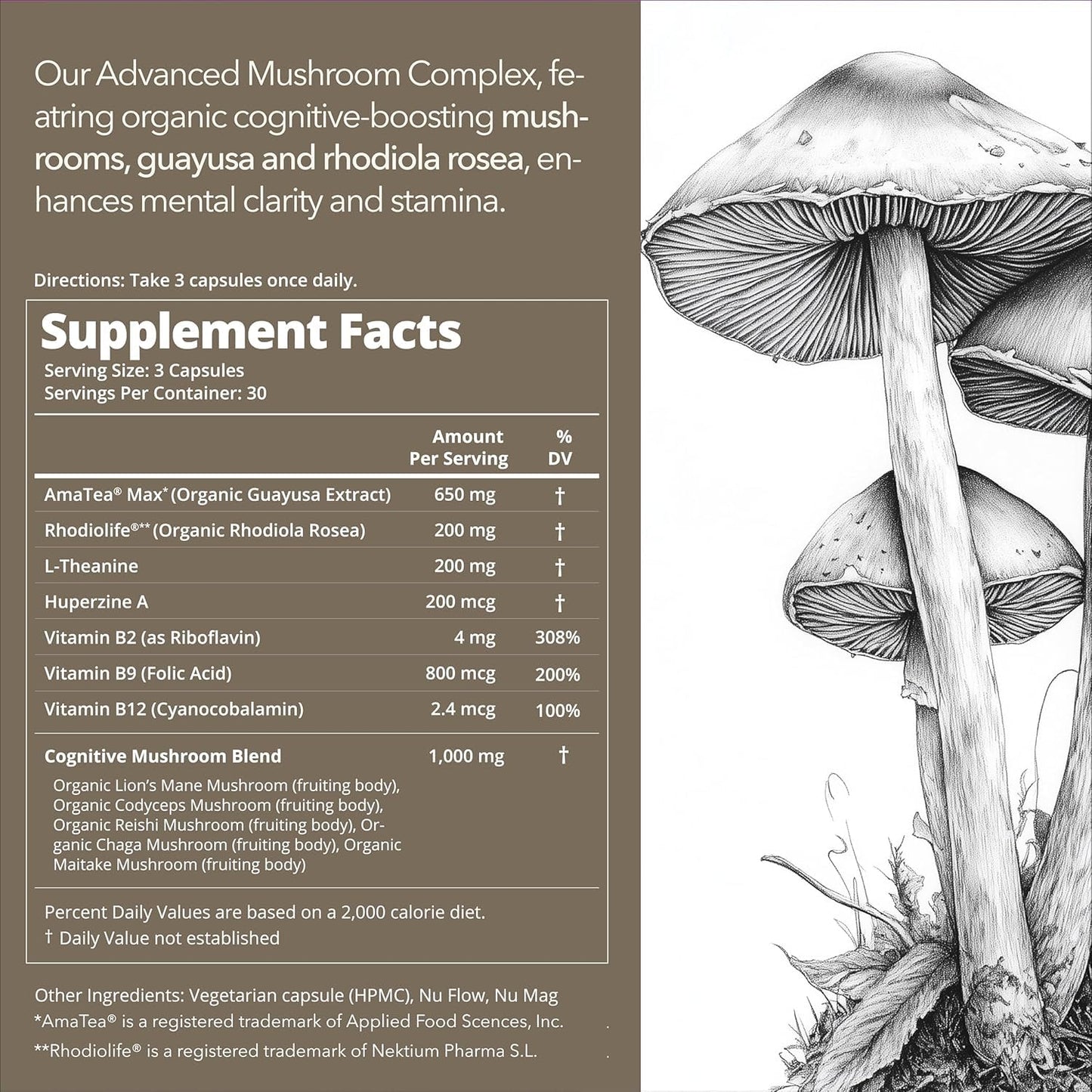 Mobisyn Organic Mushroom Supplement Cognitive Nootropic for the Brain Capsules, 180 Count