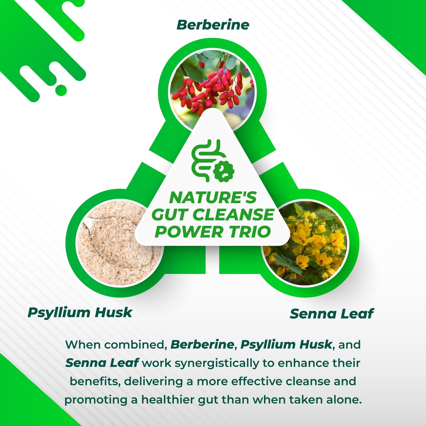 NURAFUSE 30-Day Gut Cleanse with Berberine and Senna, Cinnamon, Psyllium, Flaxseed, Aloe Vera – Supports Gut Health, Healthy Metabolism, 150 Capsules