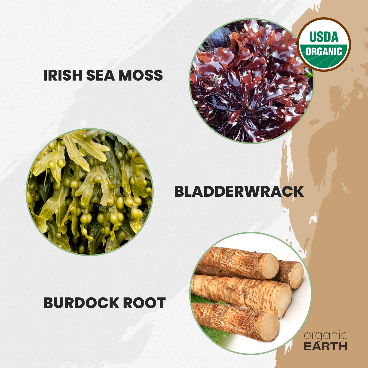 Organic Earth Irish Sea Moss Powder with Bladderwrack & Burdock Root, 8 oz