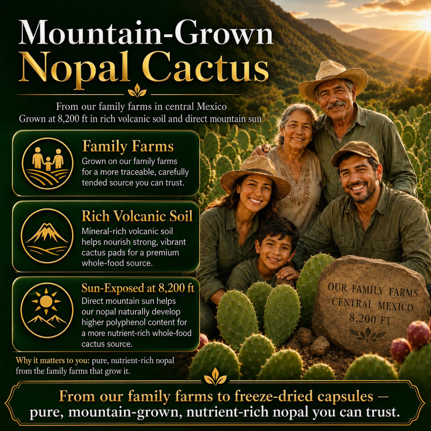 Natural Home Cures Freeze-Dried Nopal Cactus Capsules, 480 Capsules