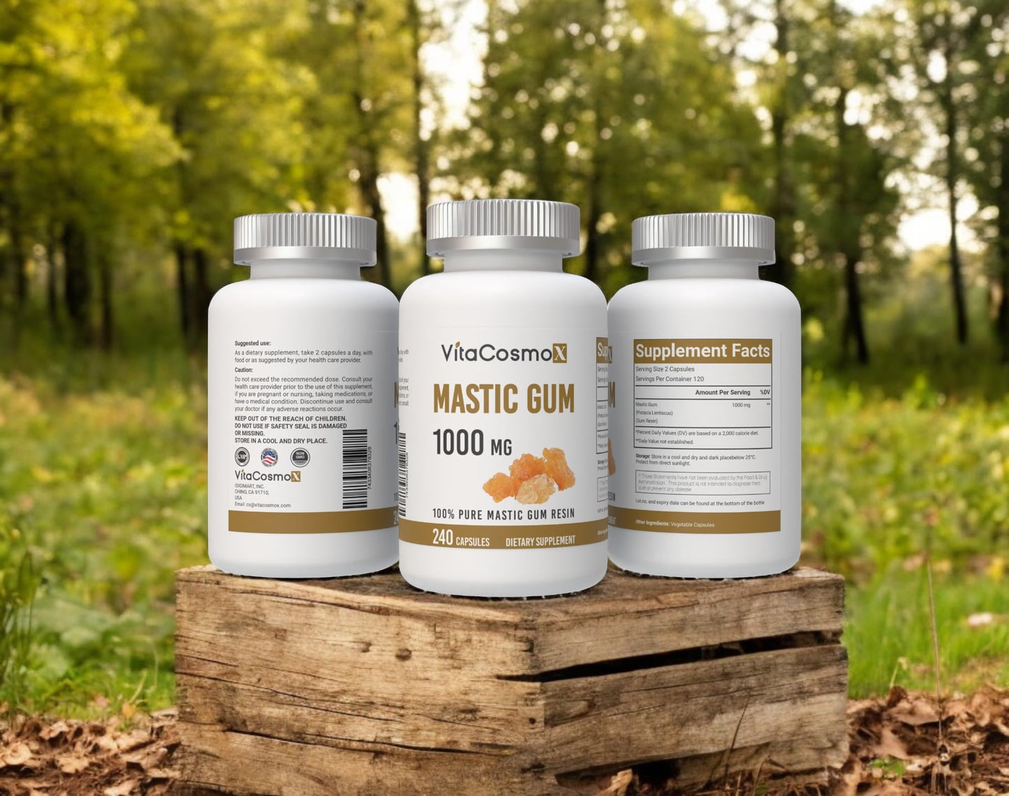 VitaCosmoX Mastic Gum Capsules, 1000 mg, 240 Count