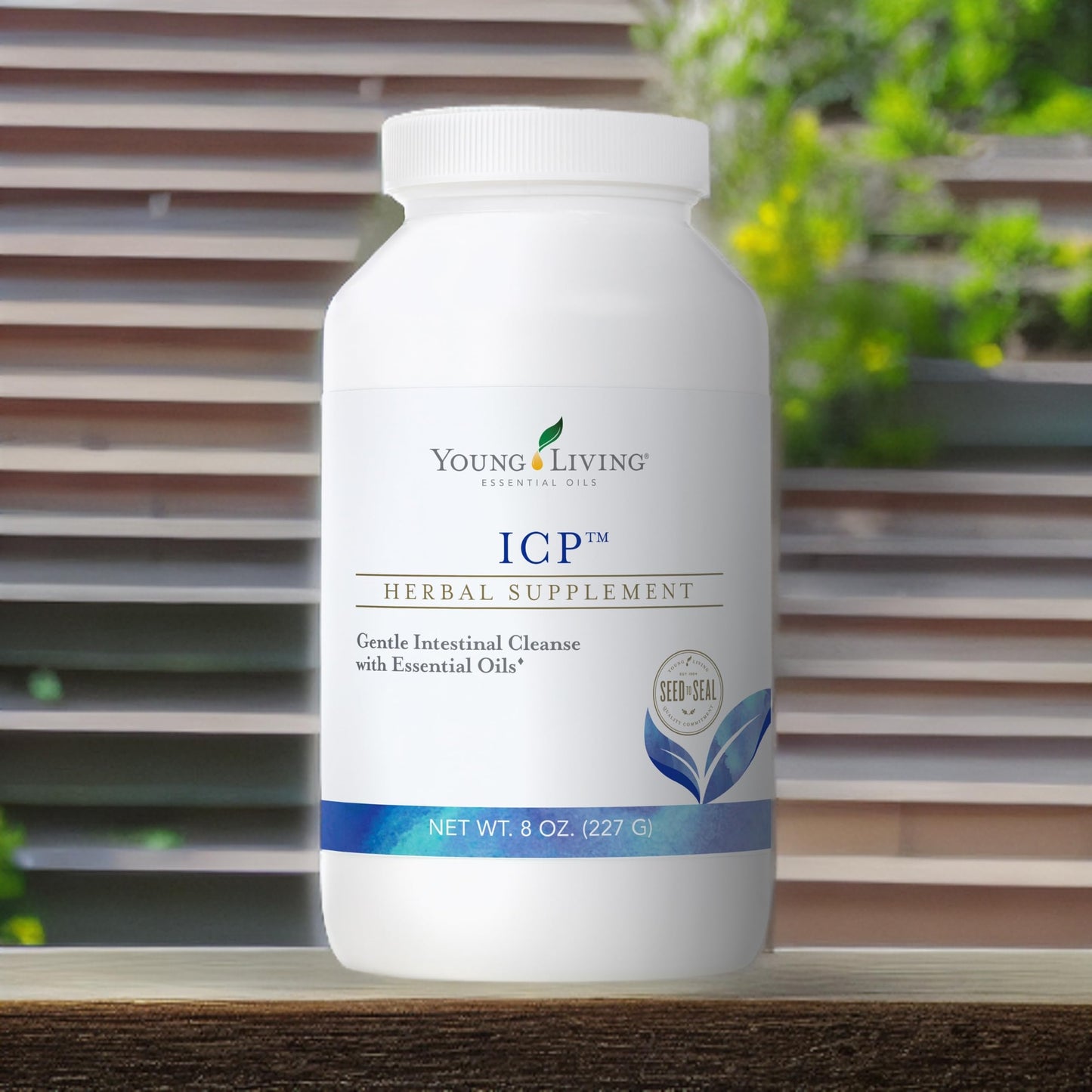Young Living ICP Powder 8 oz