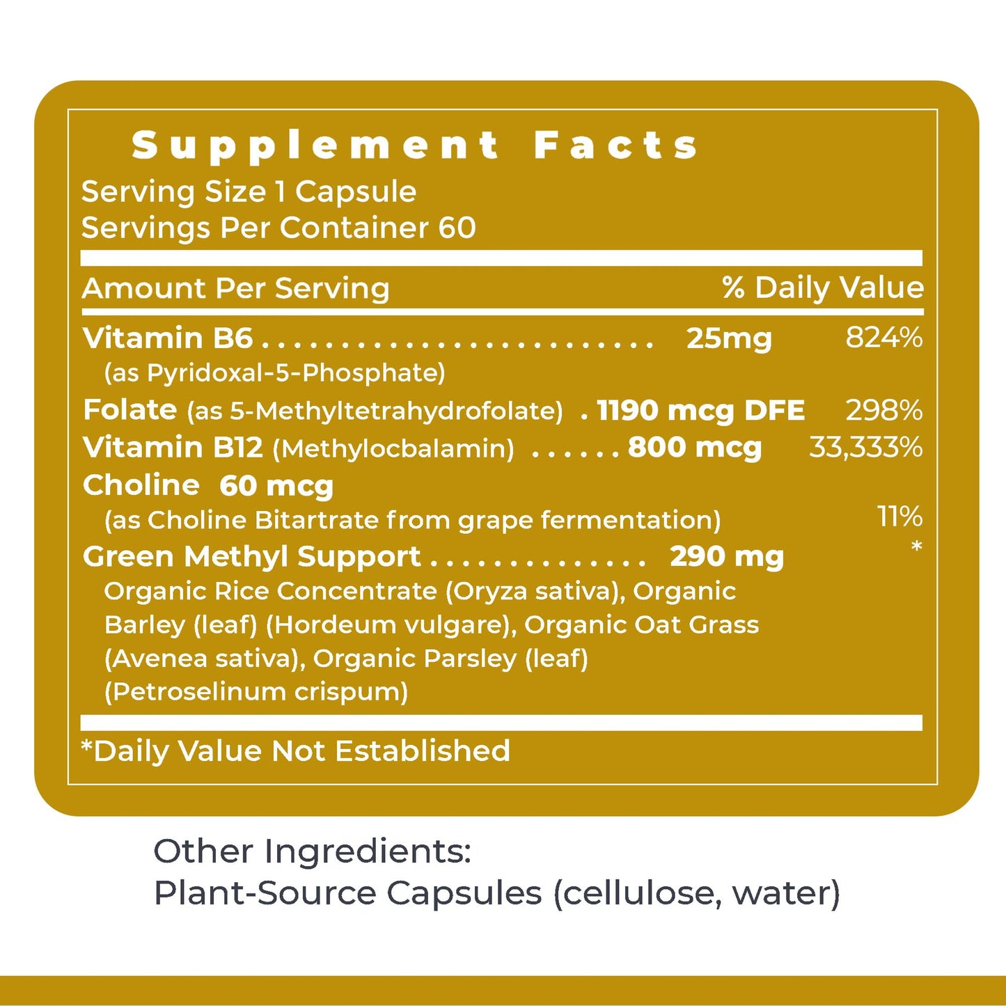 Premier Research Labs Phyto Methylate B Vitamin Supplement Capsules, 60 Count