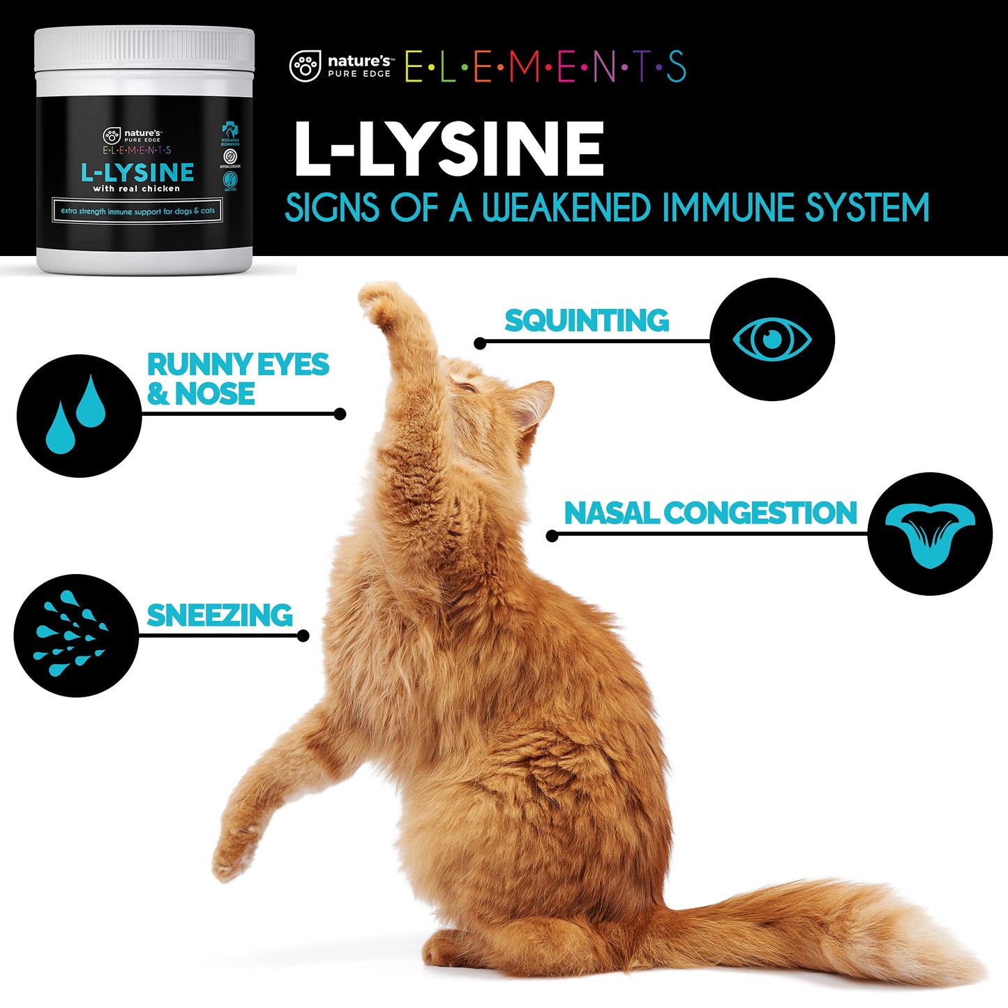 Nature's Pure Edge L-Lysine Powder for Cats and Kittens, 125