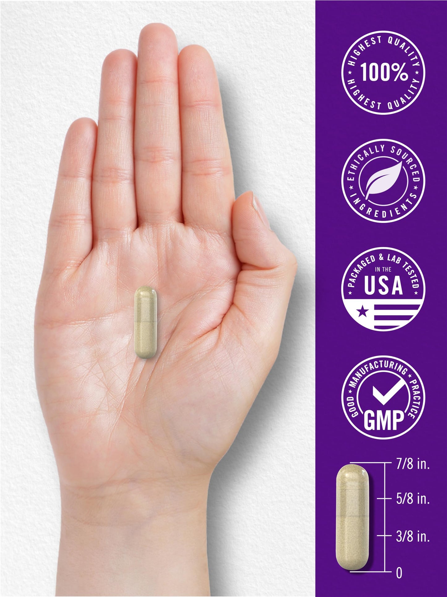 Carlyle Gallbladder Formula Supplement Capsule 120 Count