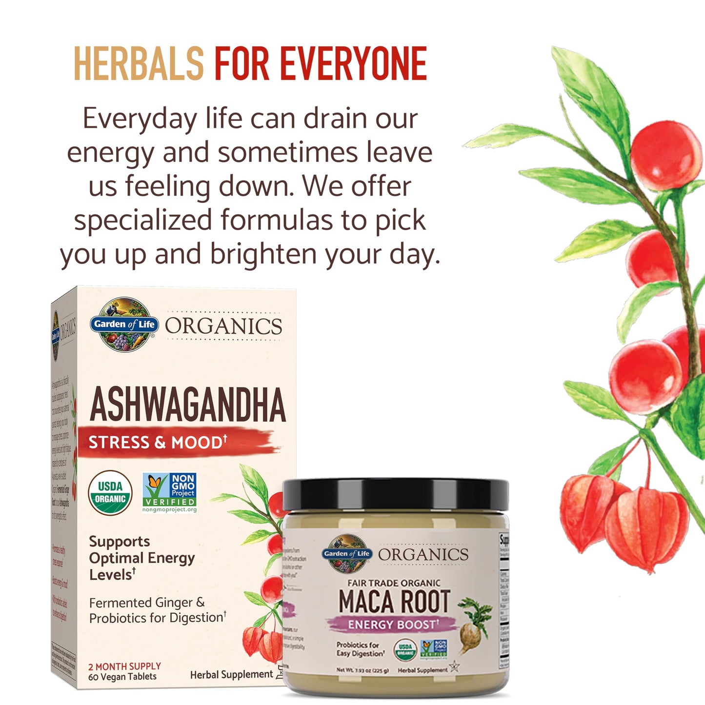Garden of Life Organics Gelatinized Peruvian Maca Root Energy Boost Powder, 6 oz