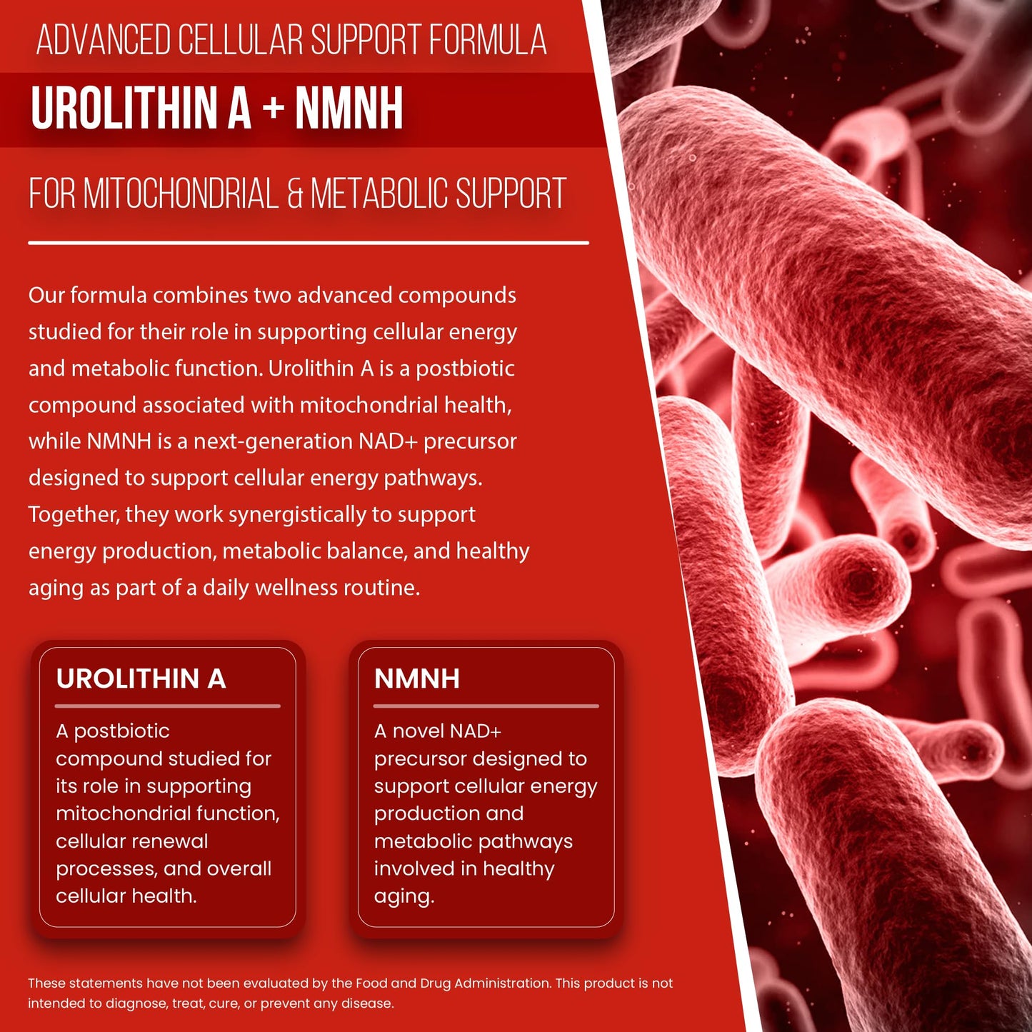 Purafina Urolithin A Supplement with NMNH for Mitochondrial Support, Cellular Energy, Healthy Aging, Muscle Health, Vitality & Cellular Wellness, 60 Capsules