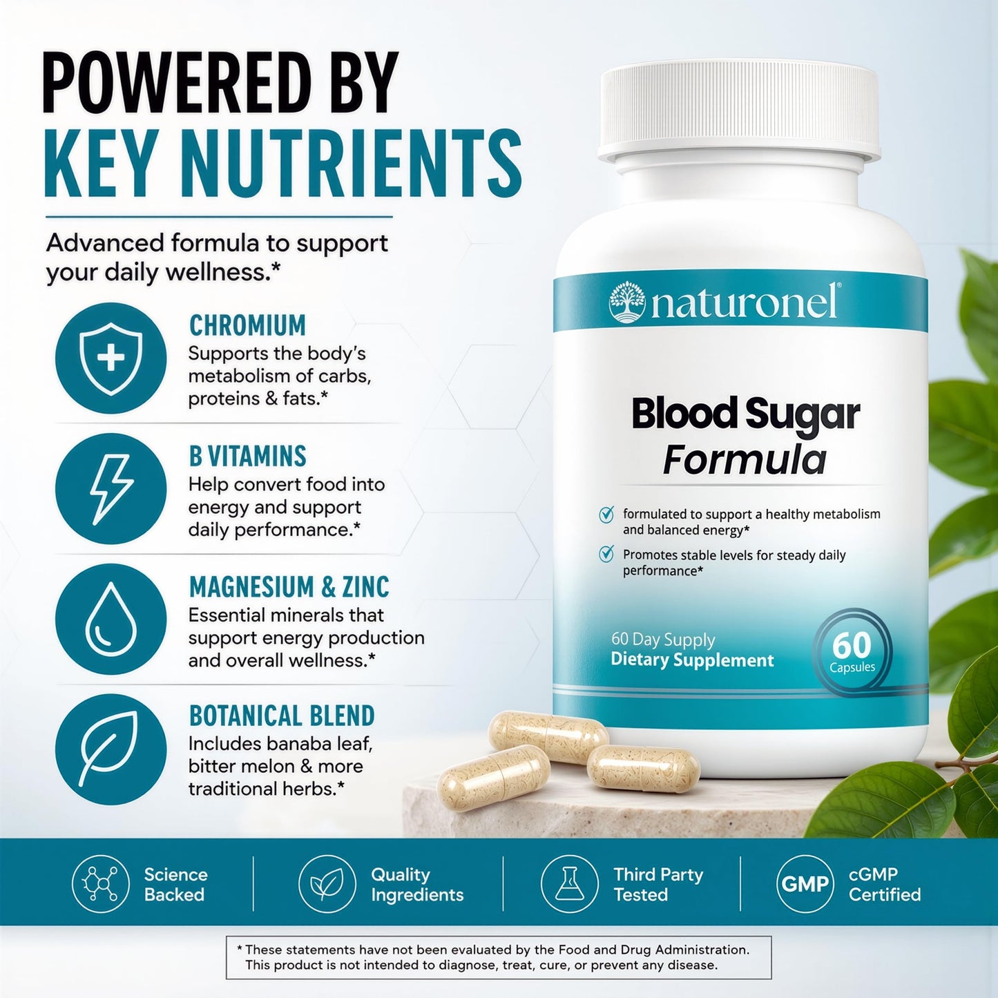 Naturonel Blood Sugar Formula Capsule 60 Capsules