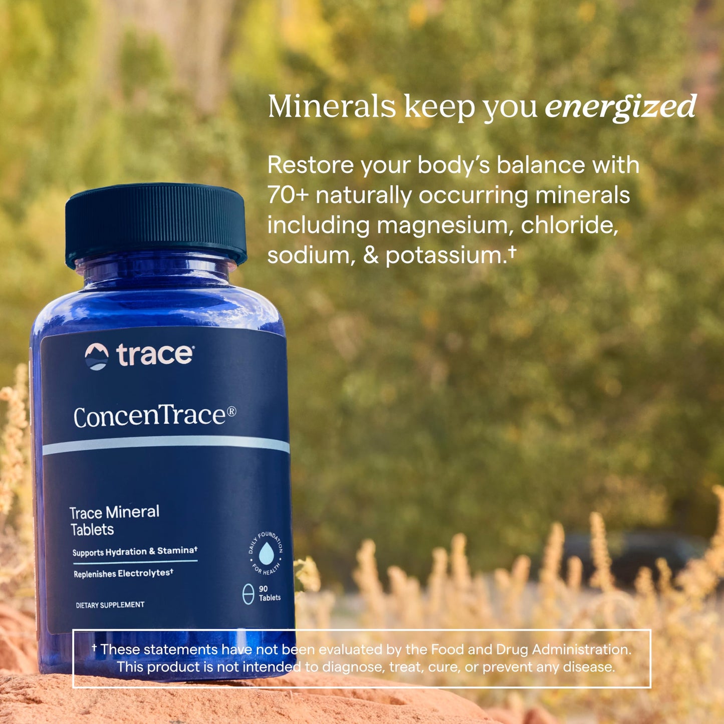Trace Minerals Research Concentrace Mineral Tabs 90 Tablets