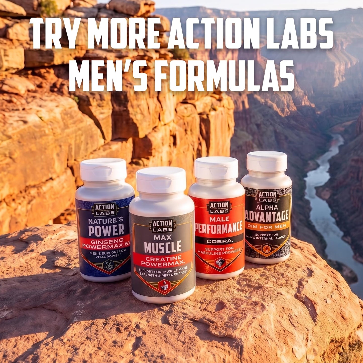 Action Labs DIM for Men Alpha Advantage Powder 1