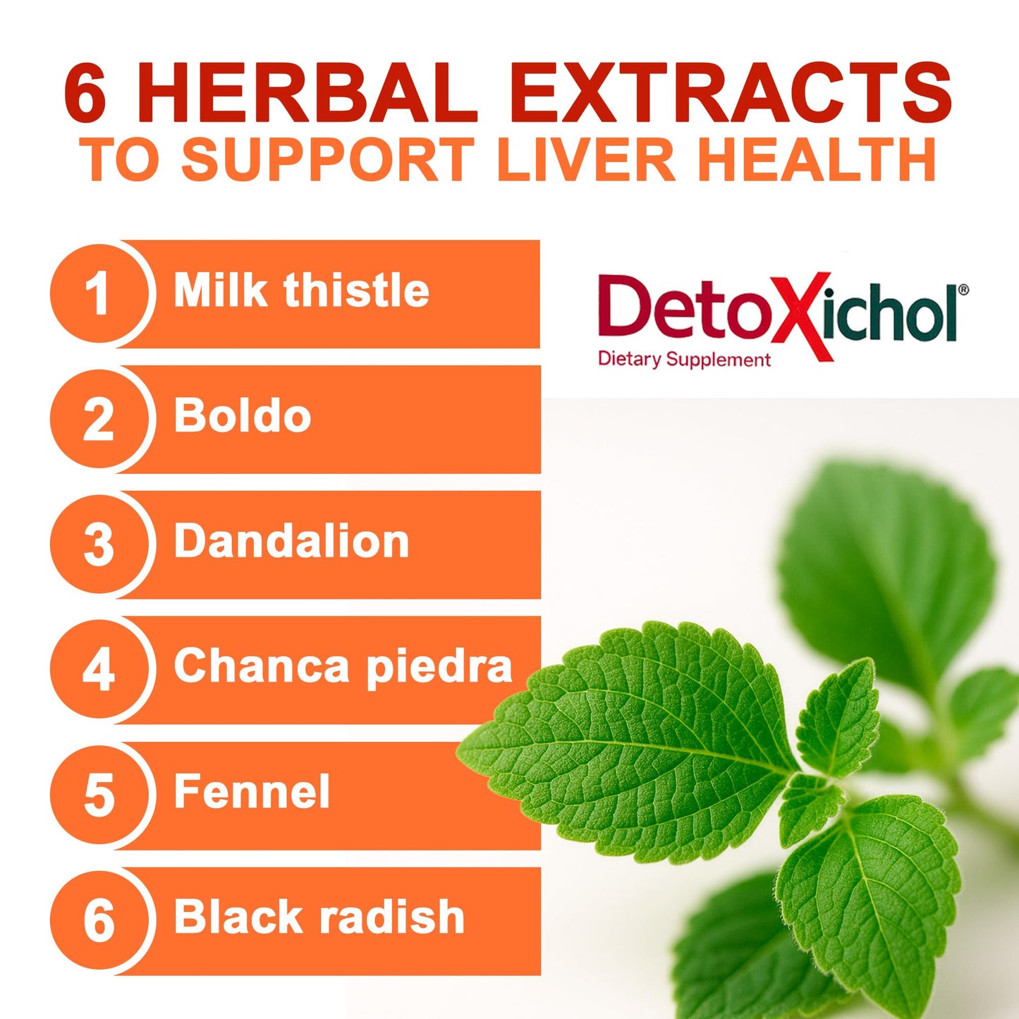 Detoxichol Liver Detox Powder, 10 Pouch Bags