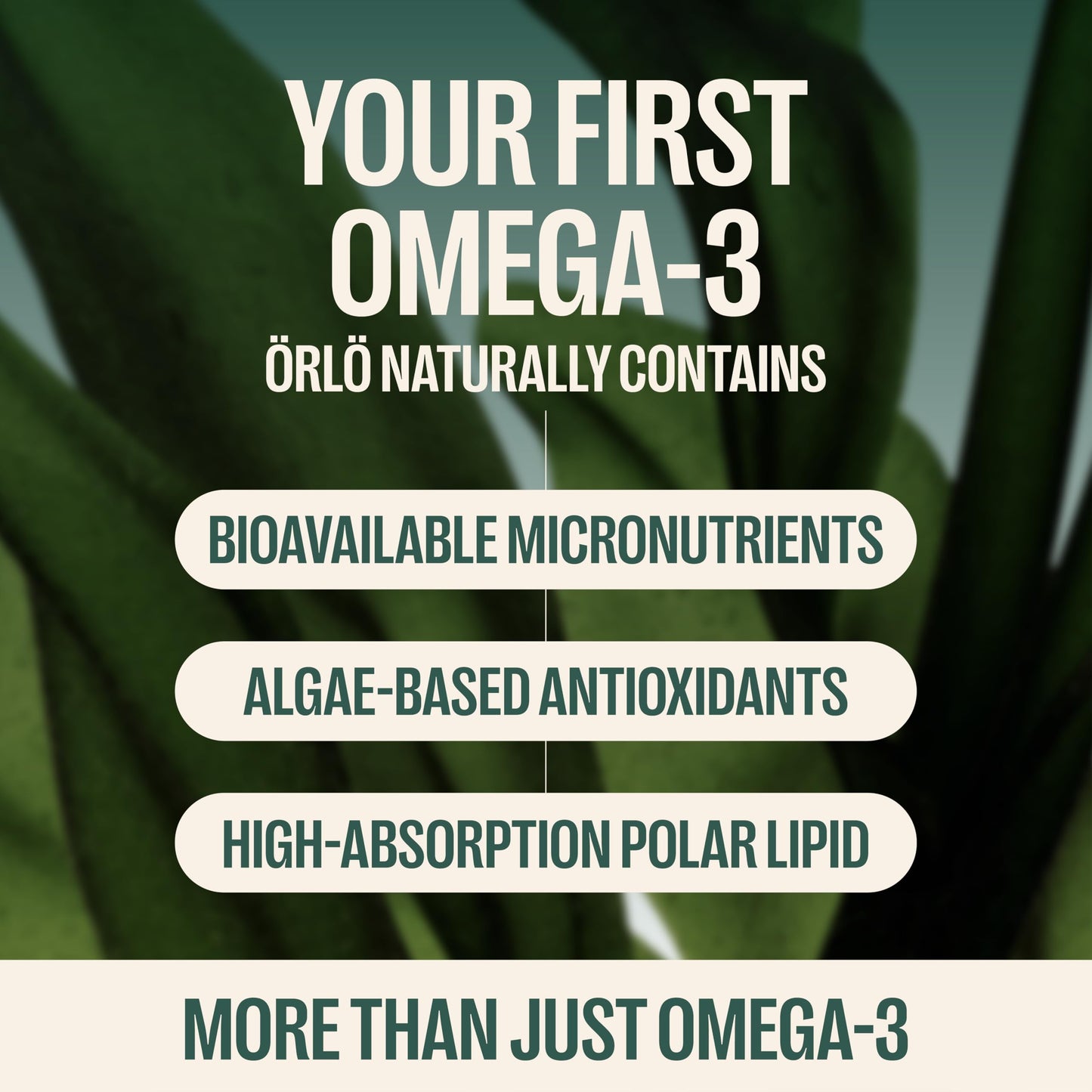 Orlo Vegan Omega 3 Algae Oil 1000mg Softgels 120 Count