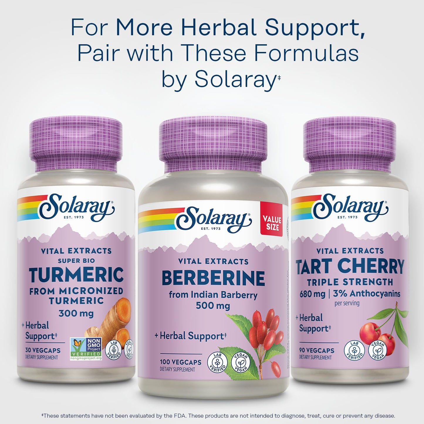 Solaray Super Bio Turmeric Curcumin Supplement 300mg Micronized Turmeric Root Extract 20% Curcumin Capsules, 30 Count
