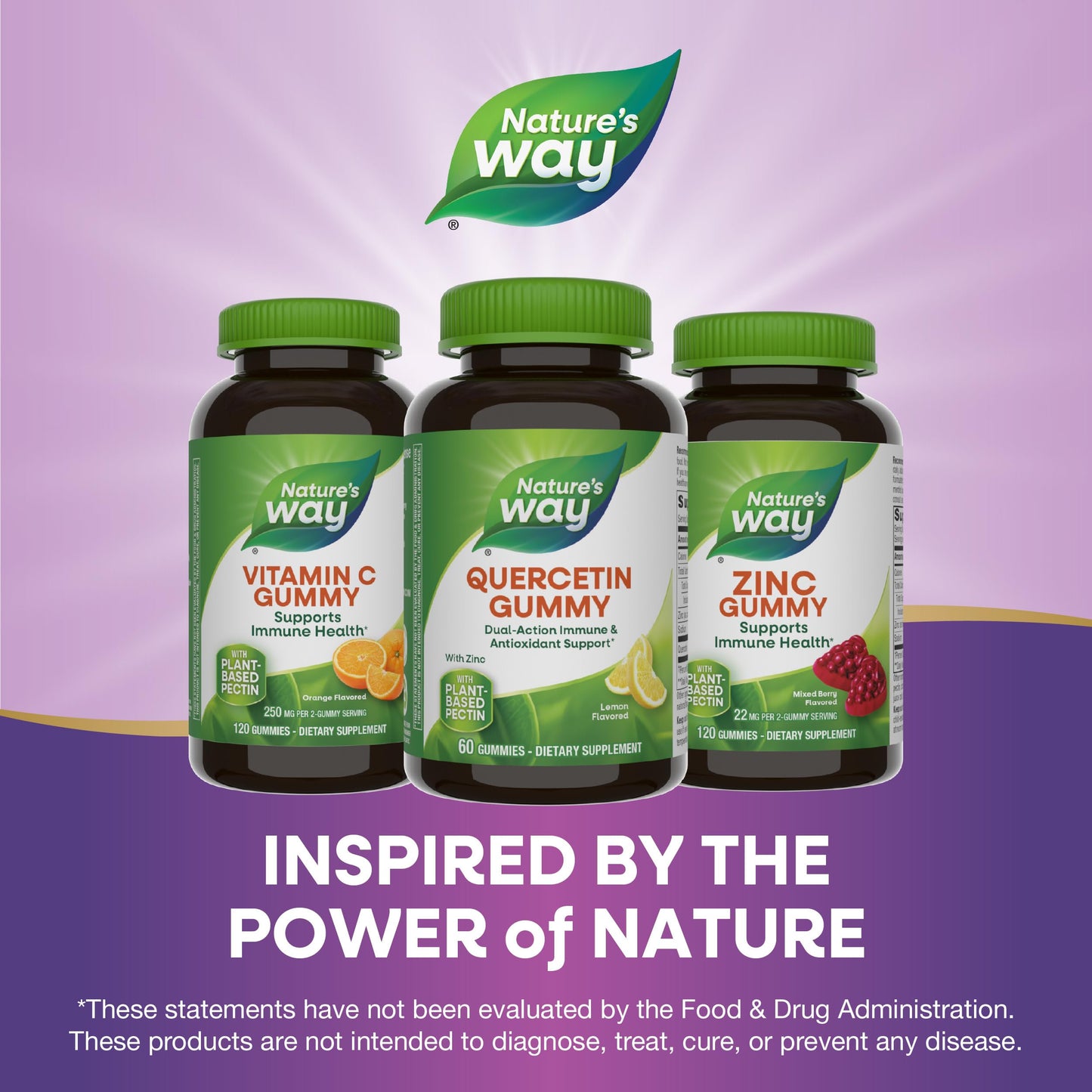 Nature's Way Quercetin Gummies with Zinc 60 Count