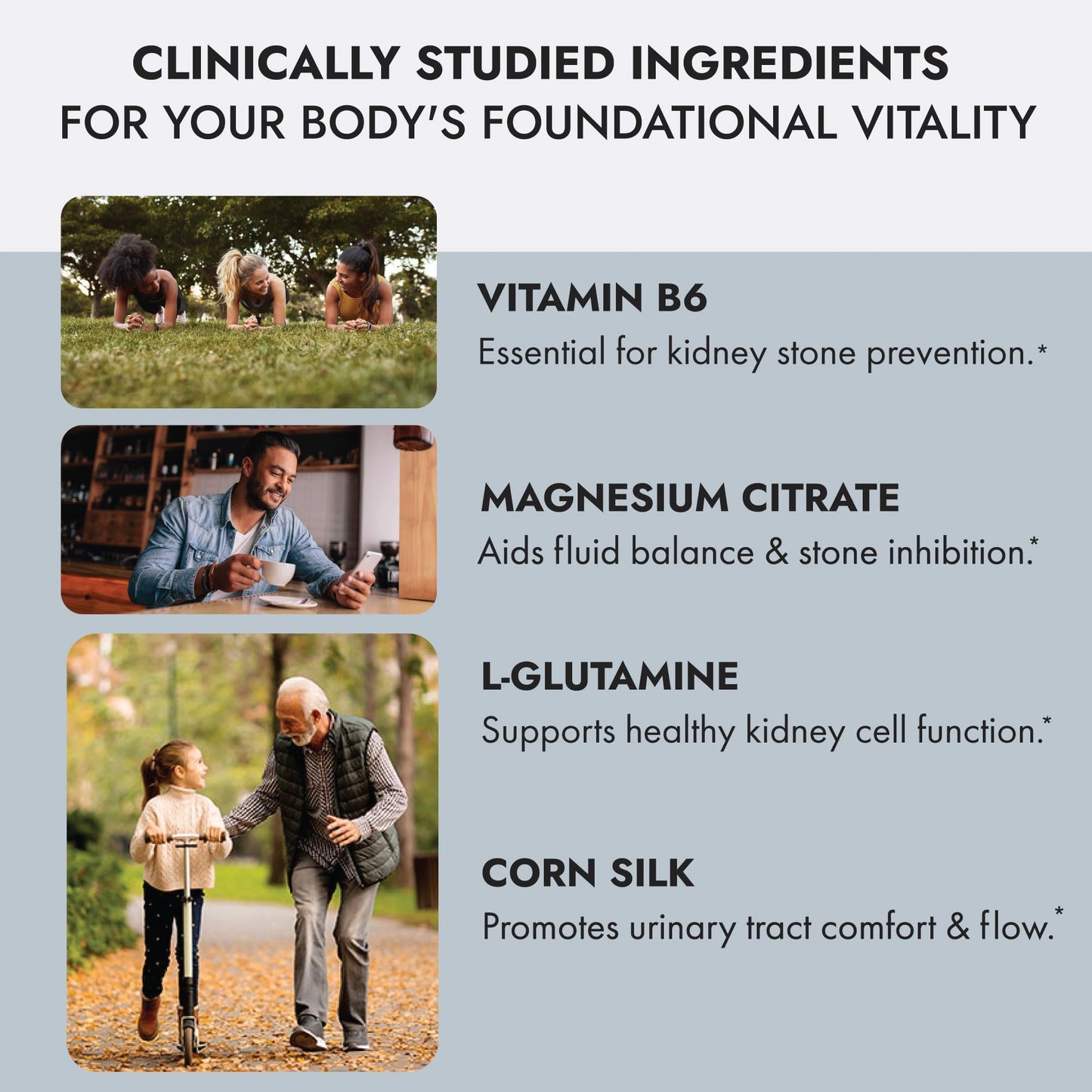 Axobotanica Kidney Cleanse Detox & Repair Formula with Vitamin B6, Magnesium & Cornsilk for Urinary Tract & Bladder Support Herbal Supplements, 240 Capsules