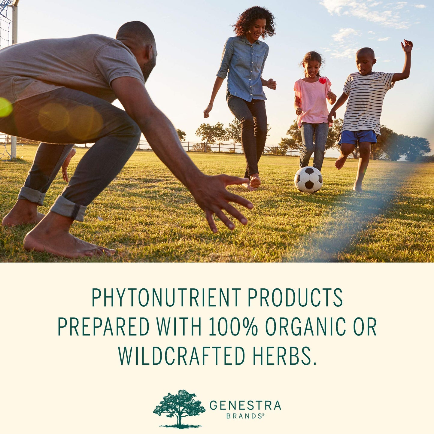 Genestra Brands Phyto Greens 180 Capsules