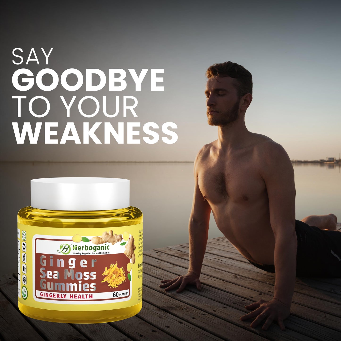 HERBOGANIC Ginger Sea Moss Gummies 60 Count