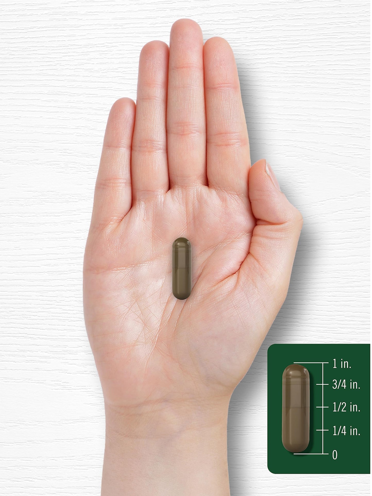 Carlyle Schisandra Supplement 1160 mg Capsule 200 Count