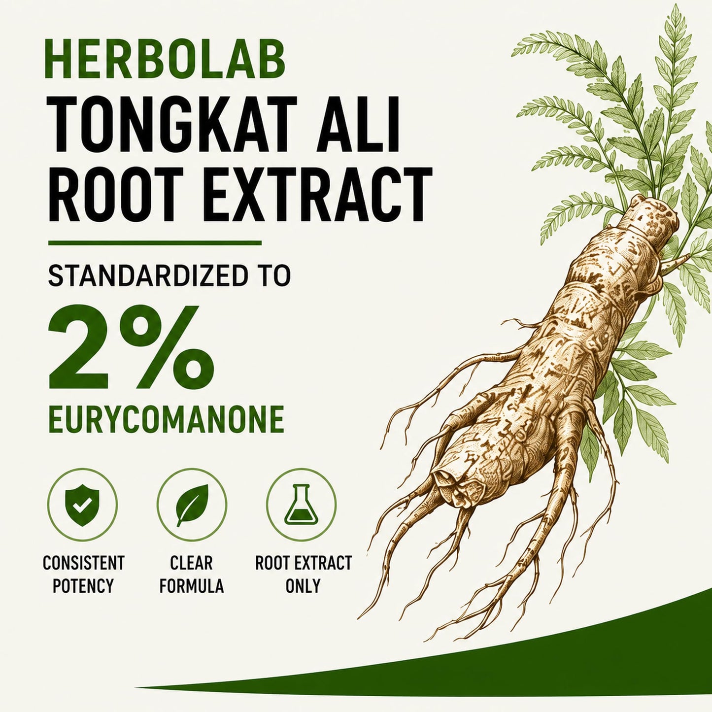 Herbolab Tongkat Ali Capsules 300mg – 2% Eurycomanone, 80 Count