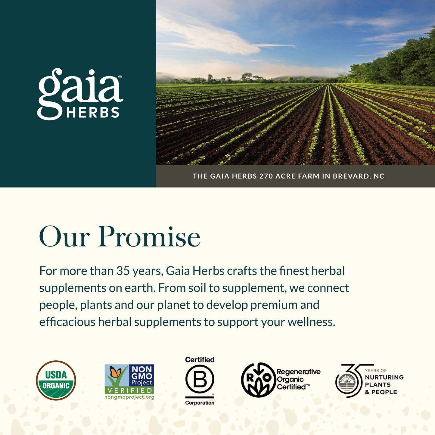 Gaia Herbs Sleep Gummies 40 Count