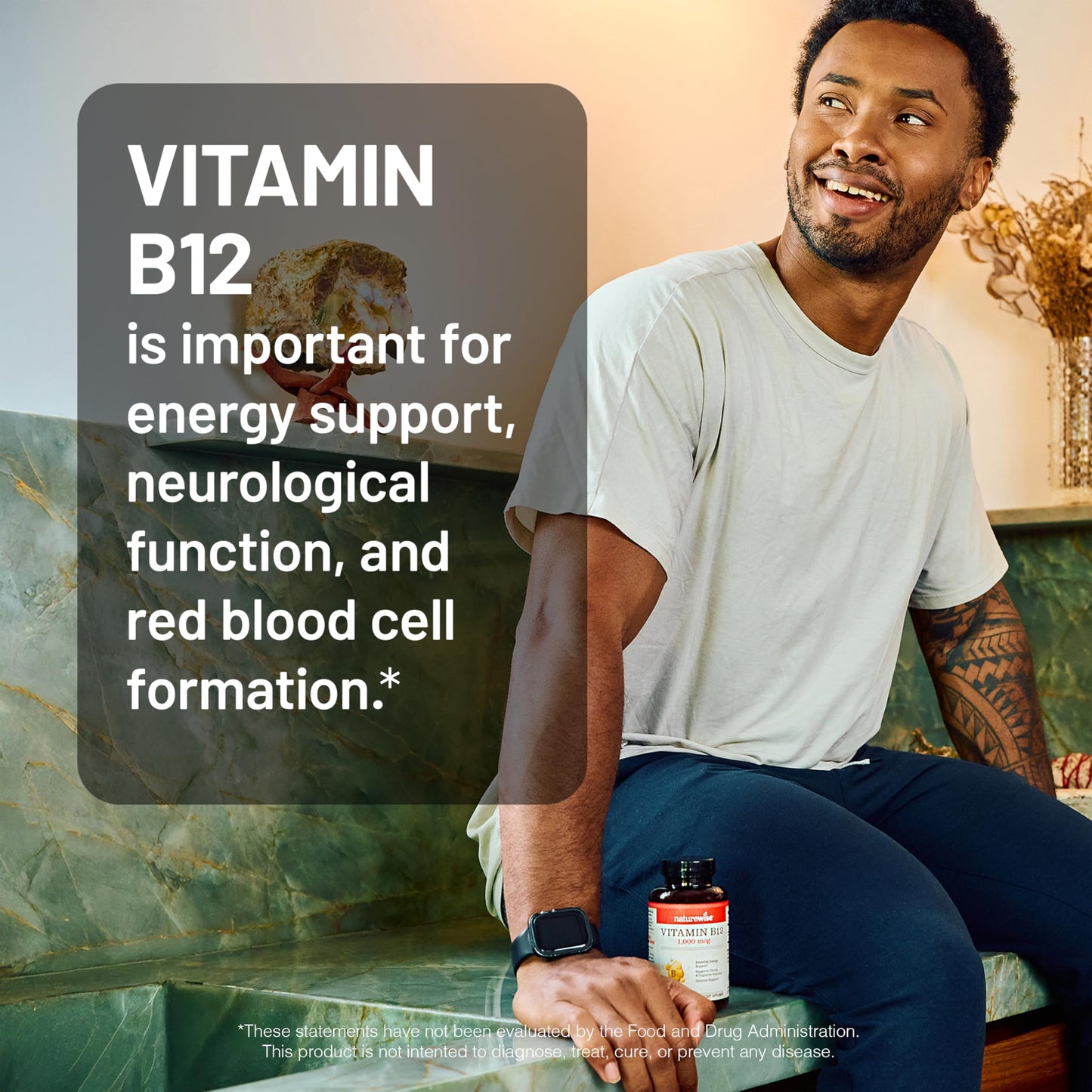 NatureWise Vitamin B12 1000 mcg Softgels 60 Count