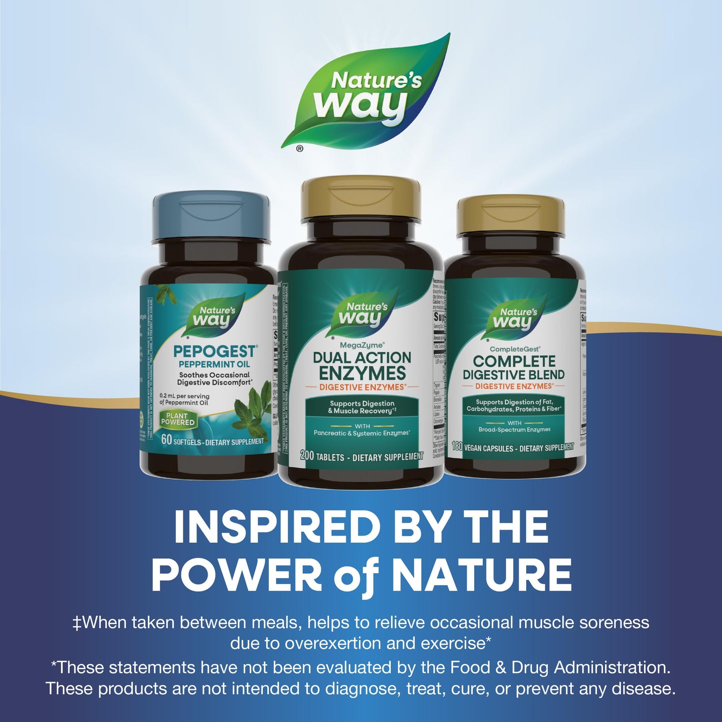 Nature's Way Mega-Zyme Pancreatic & Systemic Enzymes Tablet, 200 Tablets