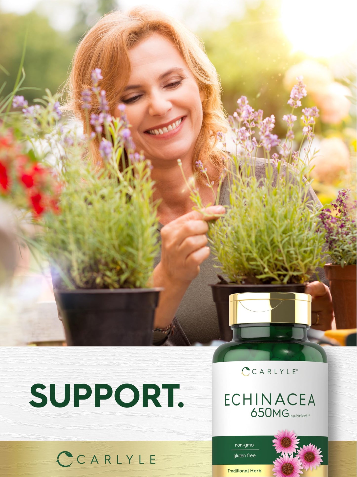 Carlyle Echinacea Capsules 120 Count