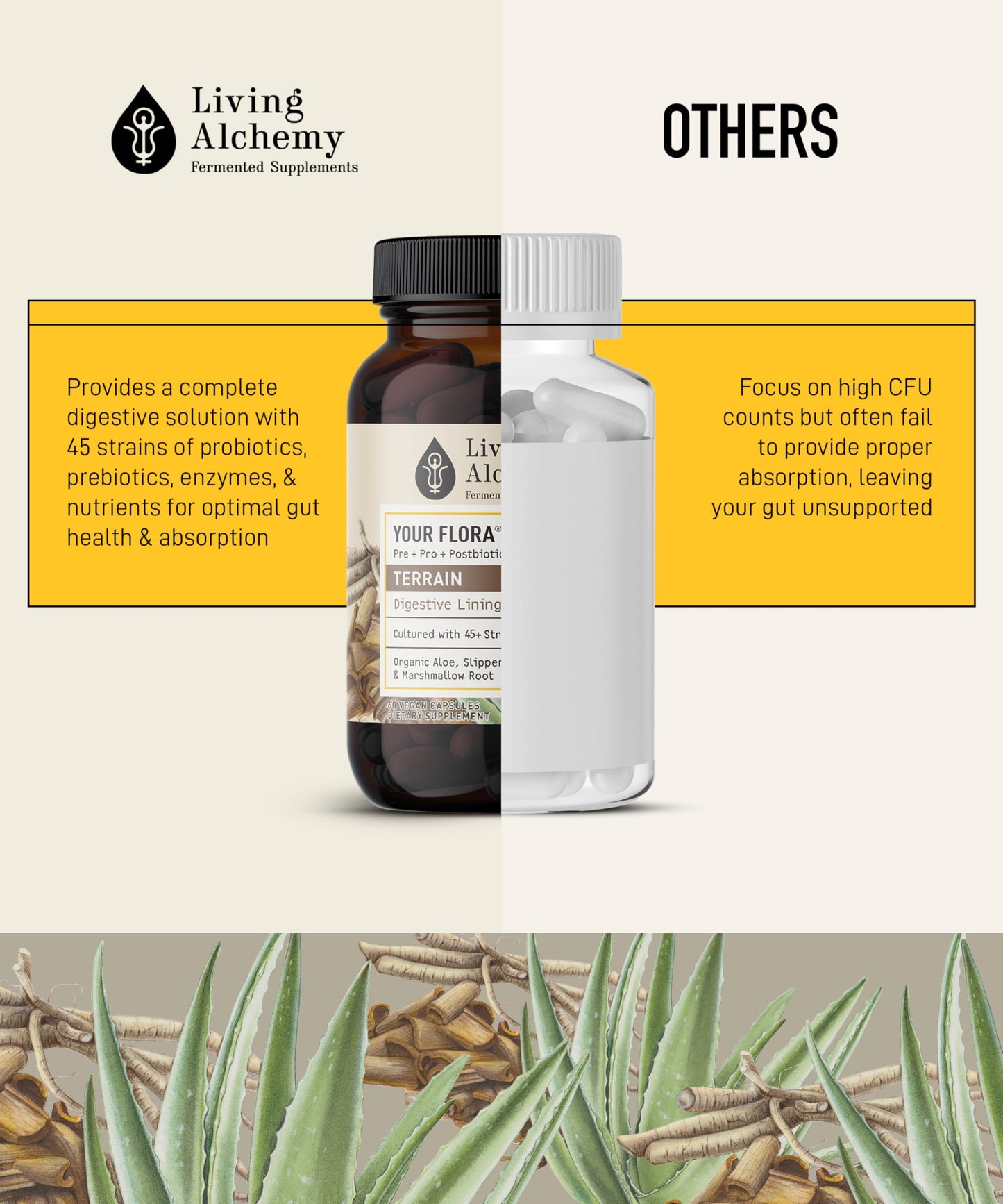 Living Alchemy Your Flora Probiotic Terrain Capsules 60 Count