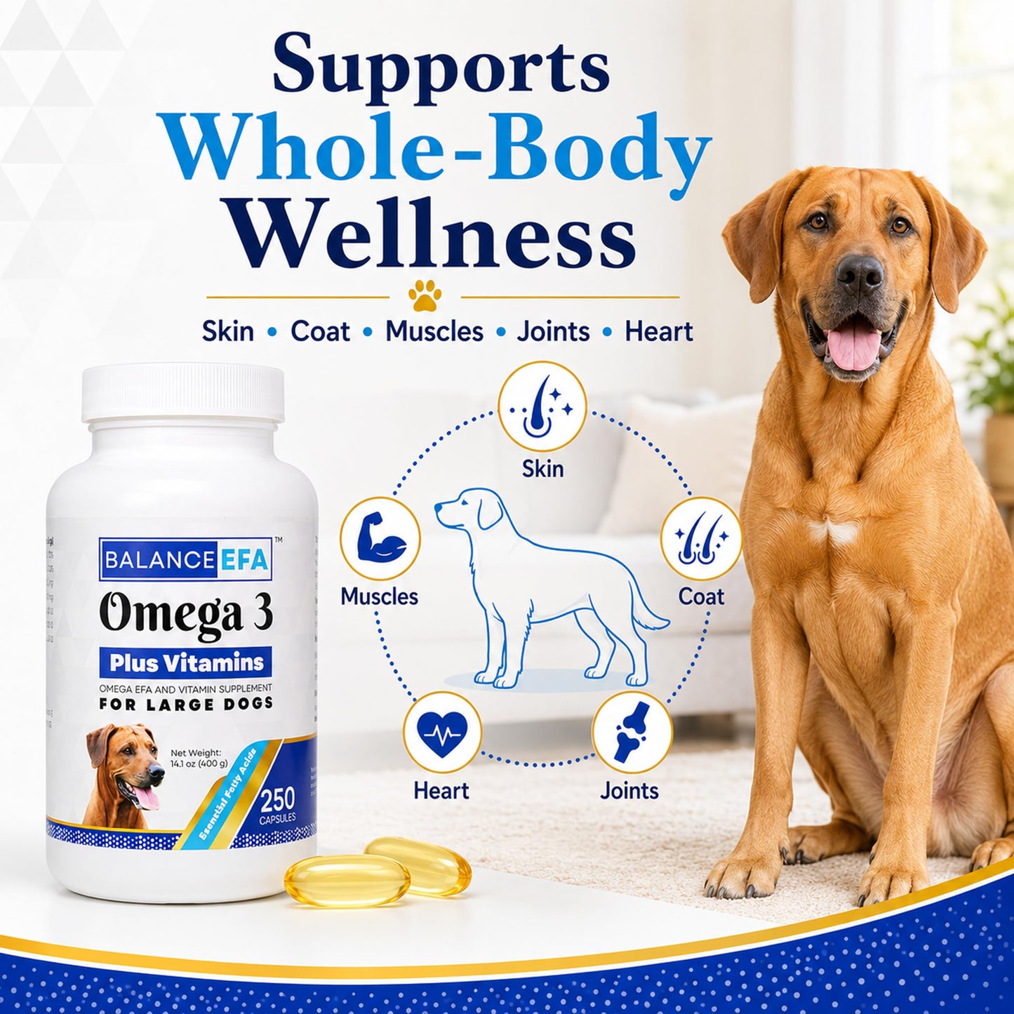 Mizner Bioscience BalanceEFA Omega-3 Fish Oil for Dogs, Skin & Coat, Capsule, 250 Count