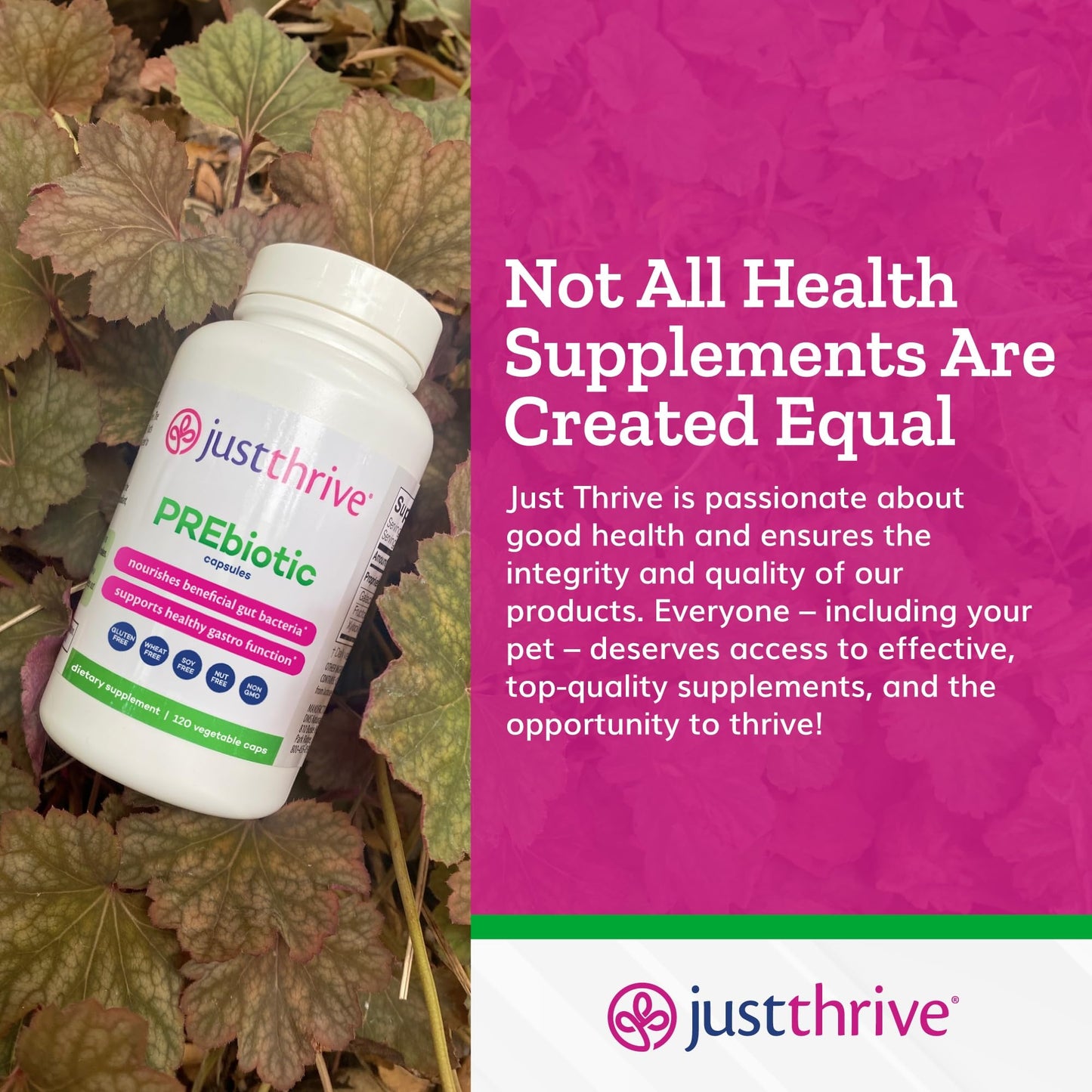 Just Thrive PREbiotic Capsules, 120 Capsules
