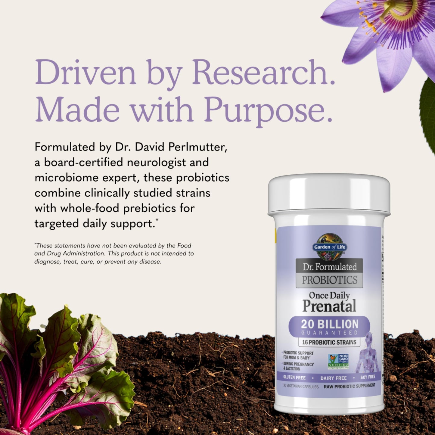 Garden of Life Dr. Formulated Probiotics Once Daily Prenatal - 20 Billion CFU, 30 Capsules