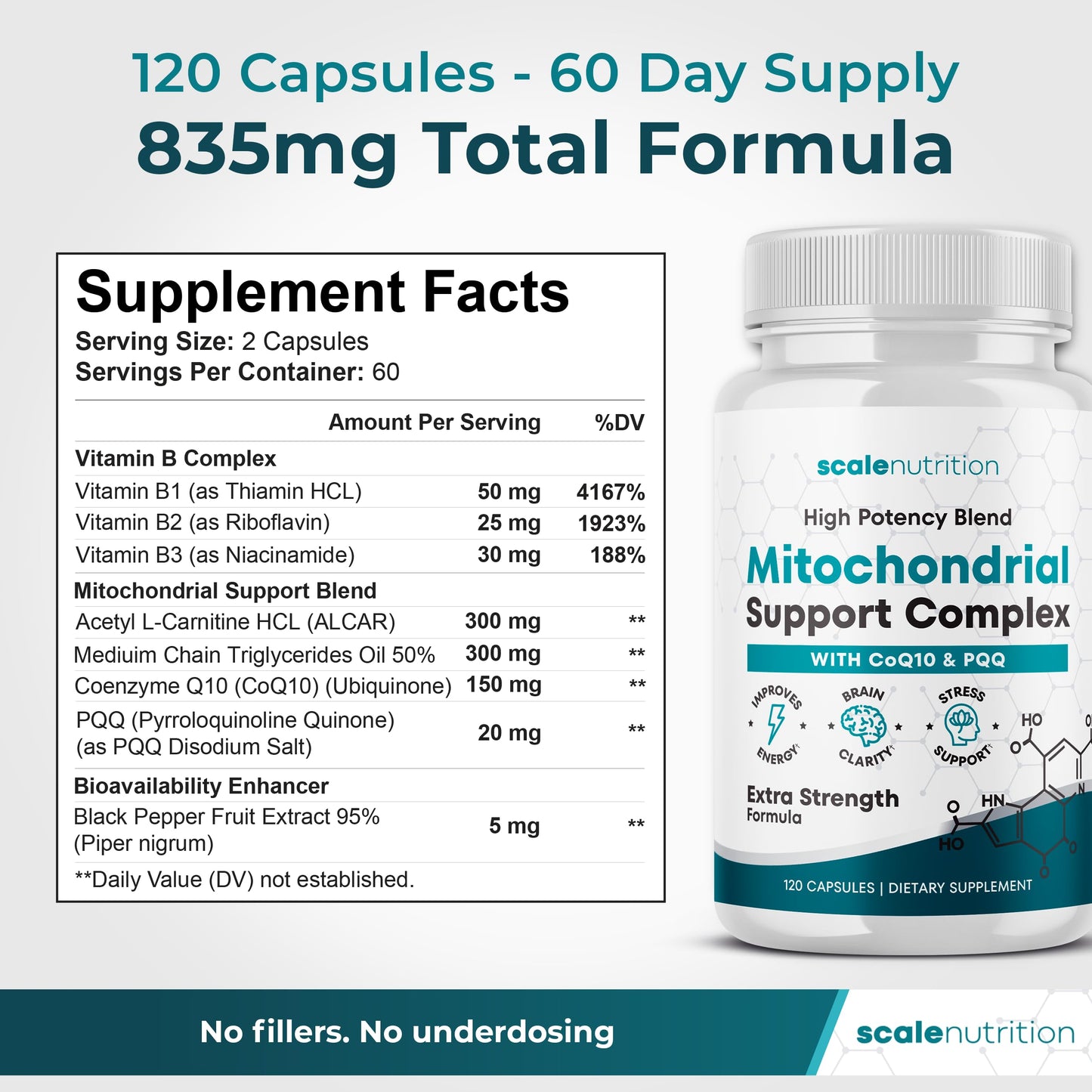 Scale Nutrition Mitochondrial Support Complex – Energy, Focus & Brain Clarity Support – CoQ10, PQQ, Acetyl-L-Carnitine – Cellular Energy & Stress Support Supplement Capsules 120