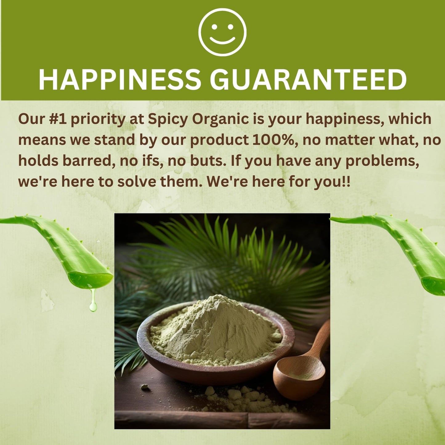 SPICY ORGANIC Aloe Vera Powder for Skin & Hair, Powder, 4 oz