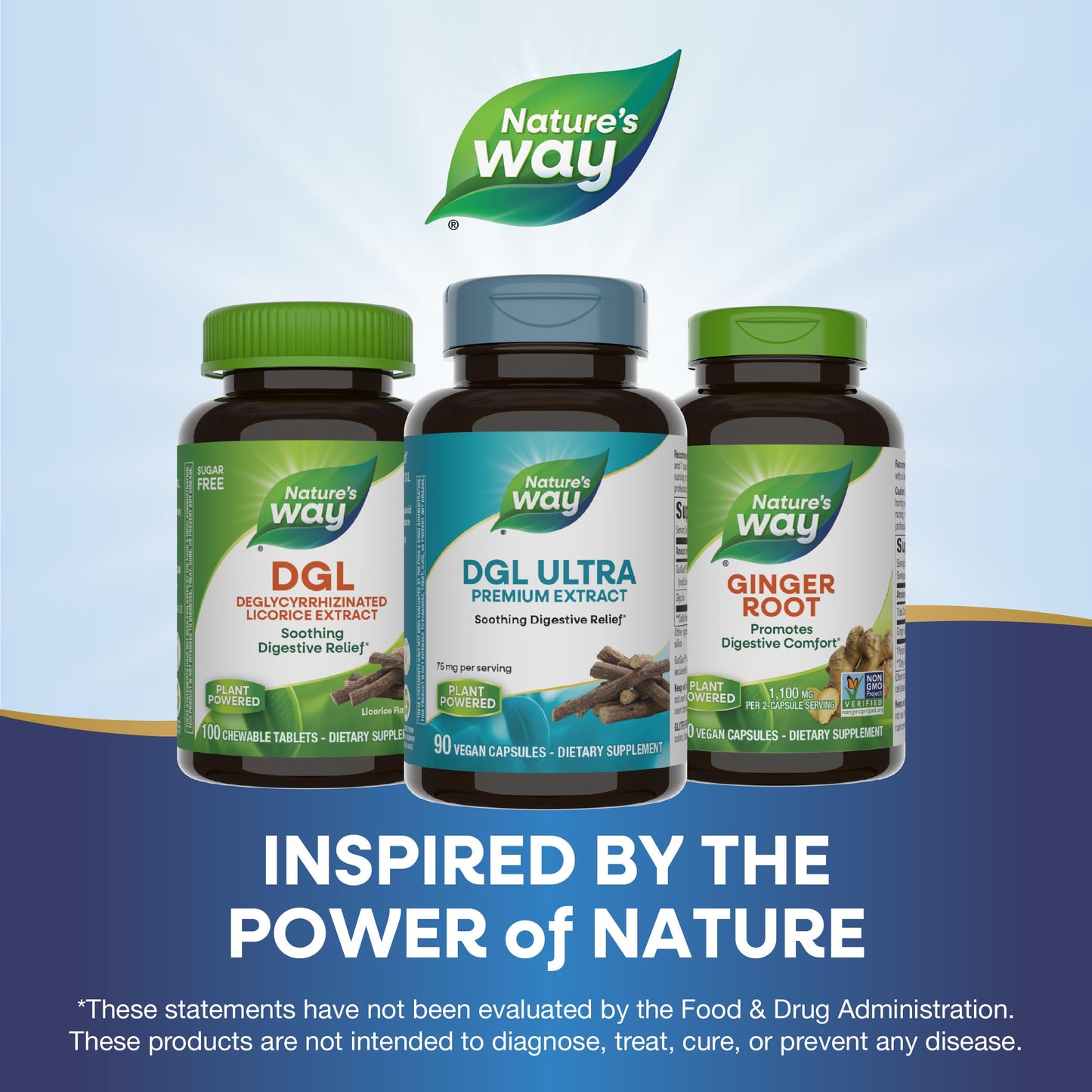 Nature's Way Premium Extract DGL Ultra Extra Strength Digestive Relief Capsules, 90 Count