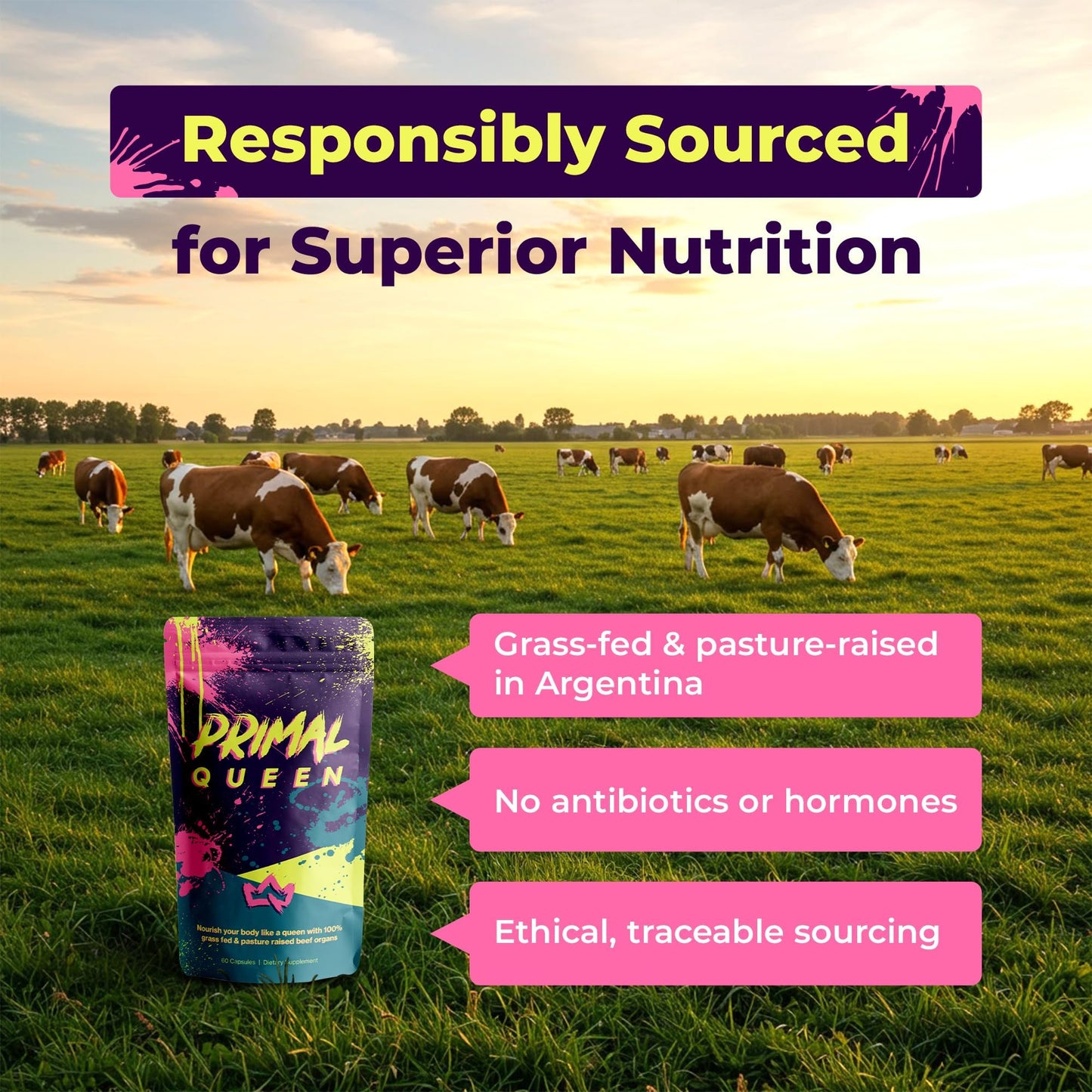 Primal Queen Beef Organ Liver Kidney Heart Capsules 120 Count
