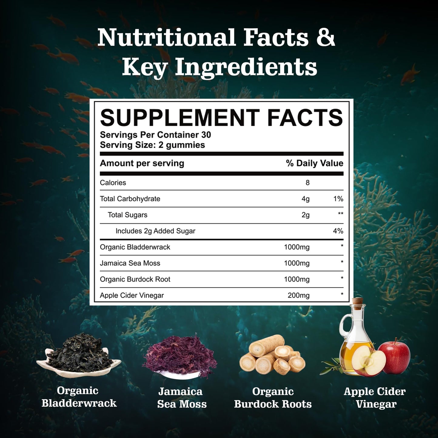 Vitastars Organic Sea Moss Gummies with Apple Cider Vinegar, Burdock Root & Bladderwrack - 60 Count