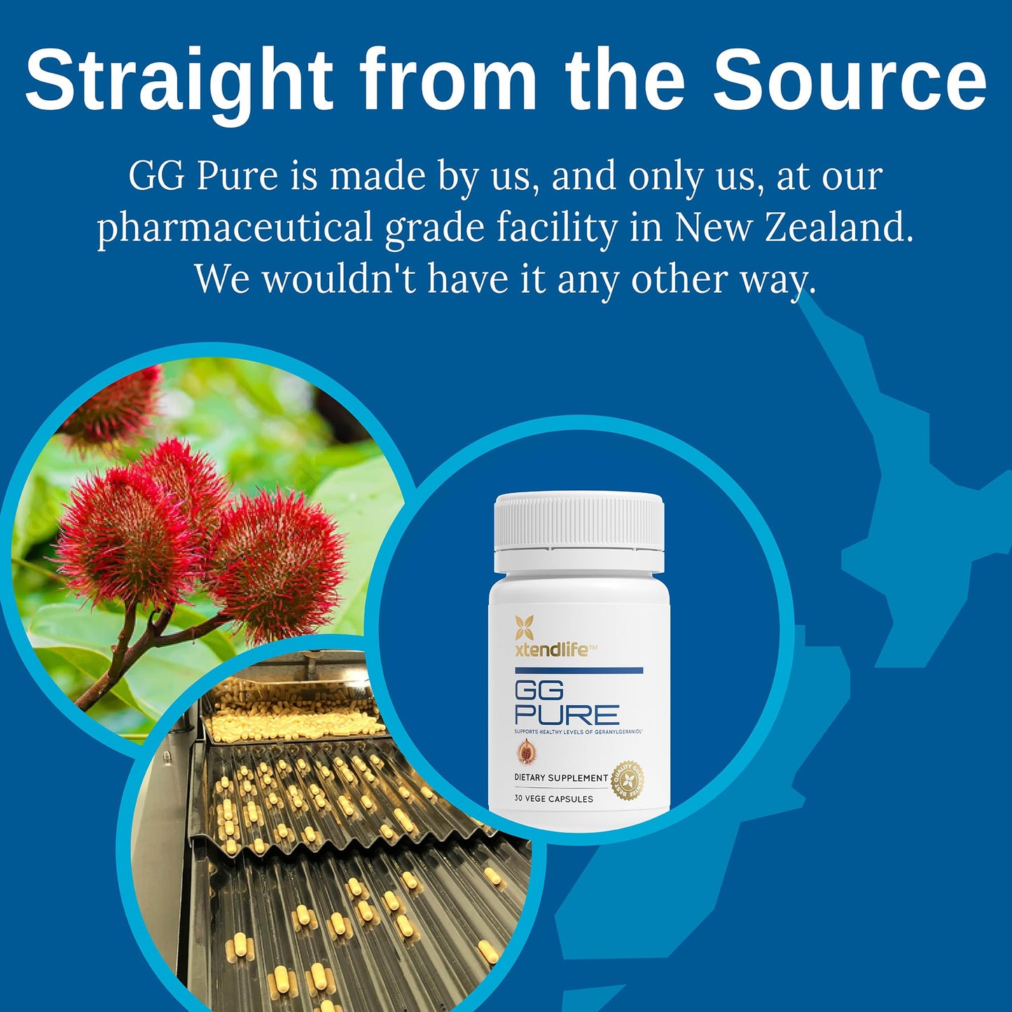 Xtendlife GG Pure Geranylgeraniol Supplement Capsule 60 Capsules