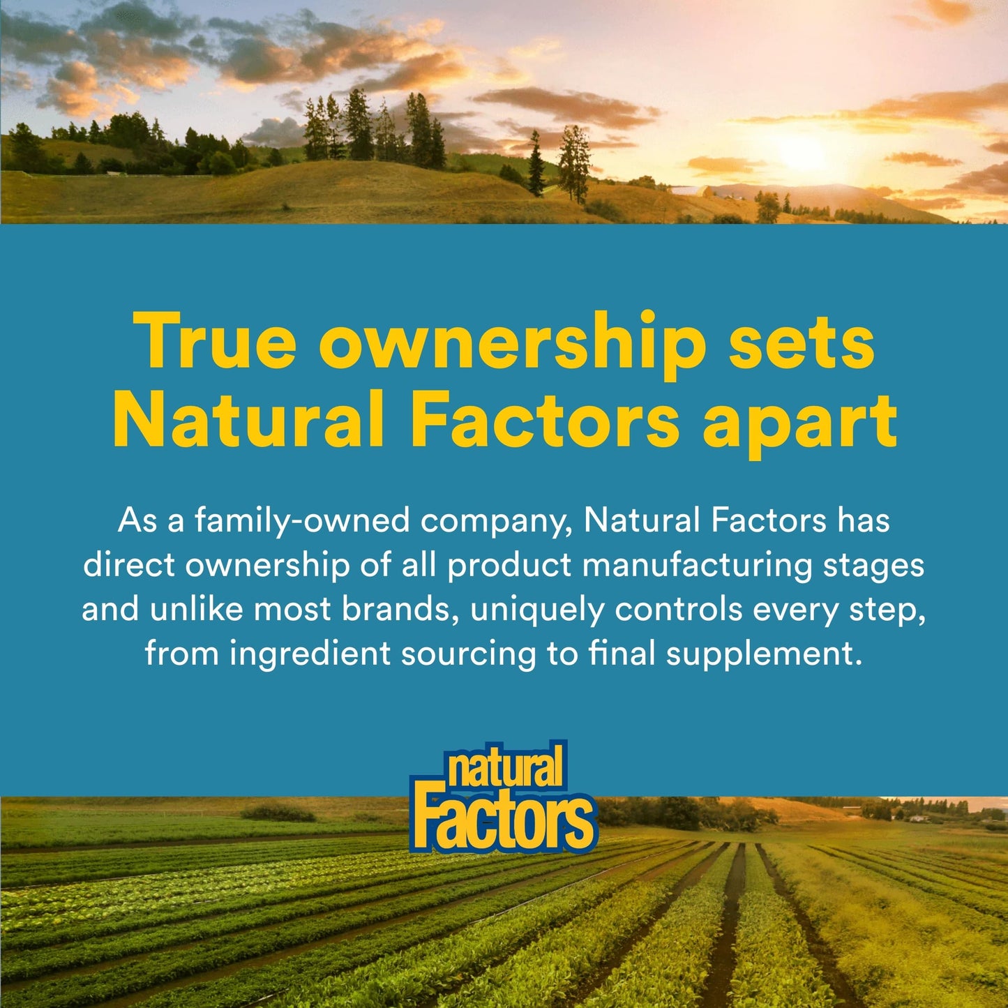 Natural Factors Acidophilus & Bifidus Capsules, 90 Count
